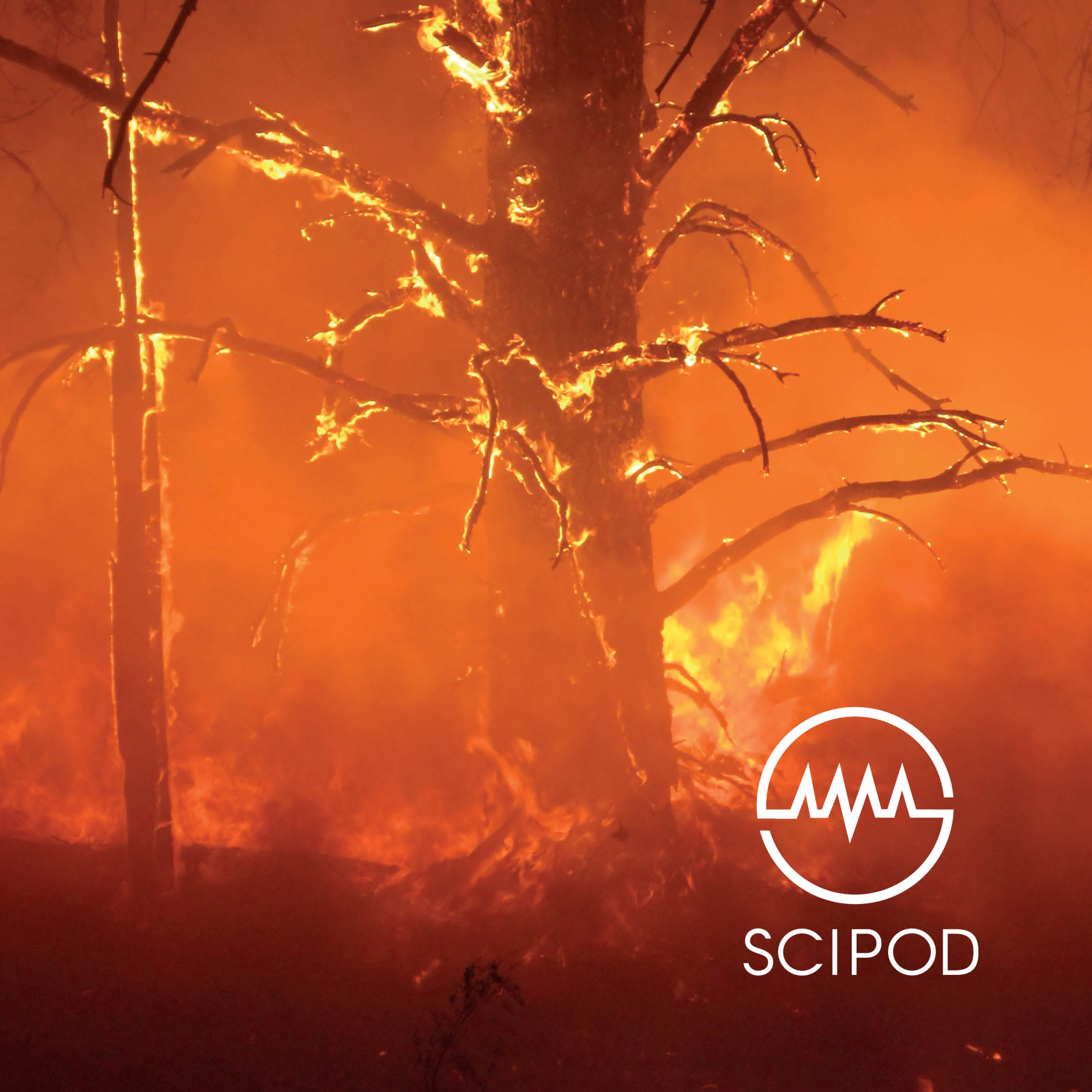 SciPod