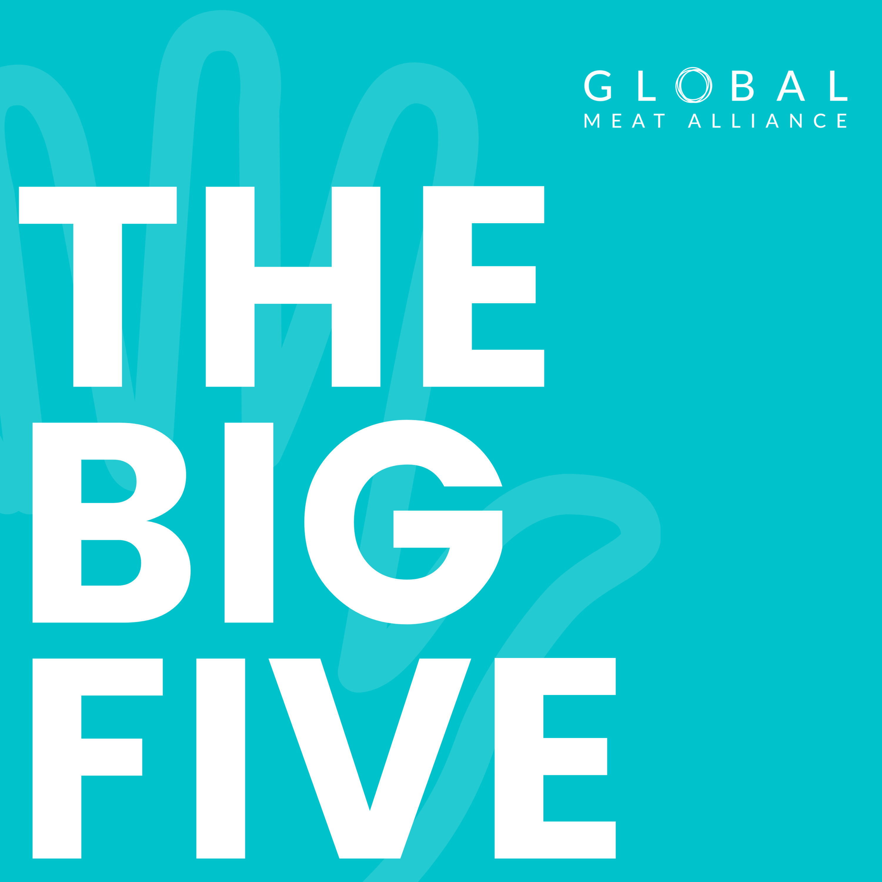 THE BIG FIVE - AUGUST episode artwork