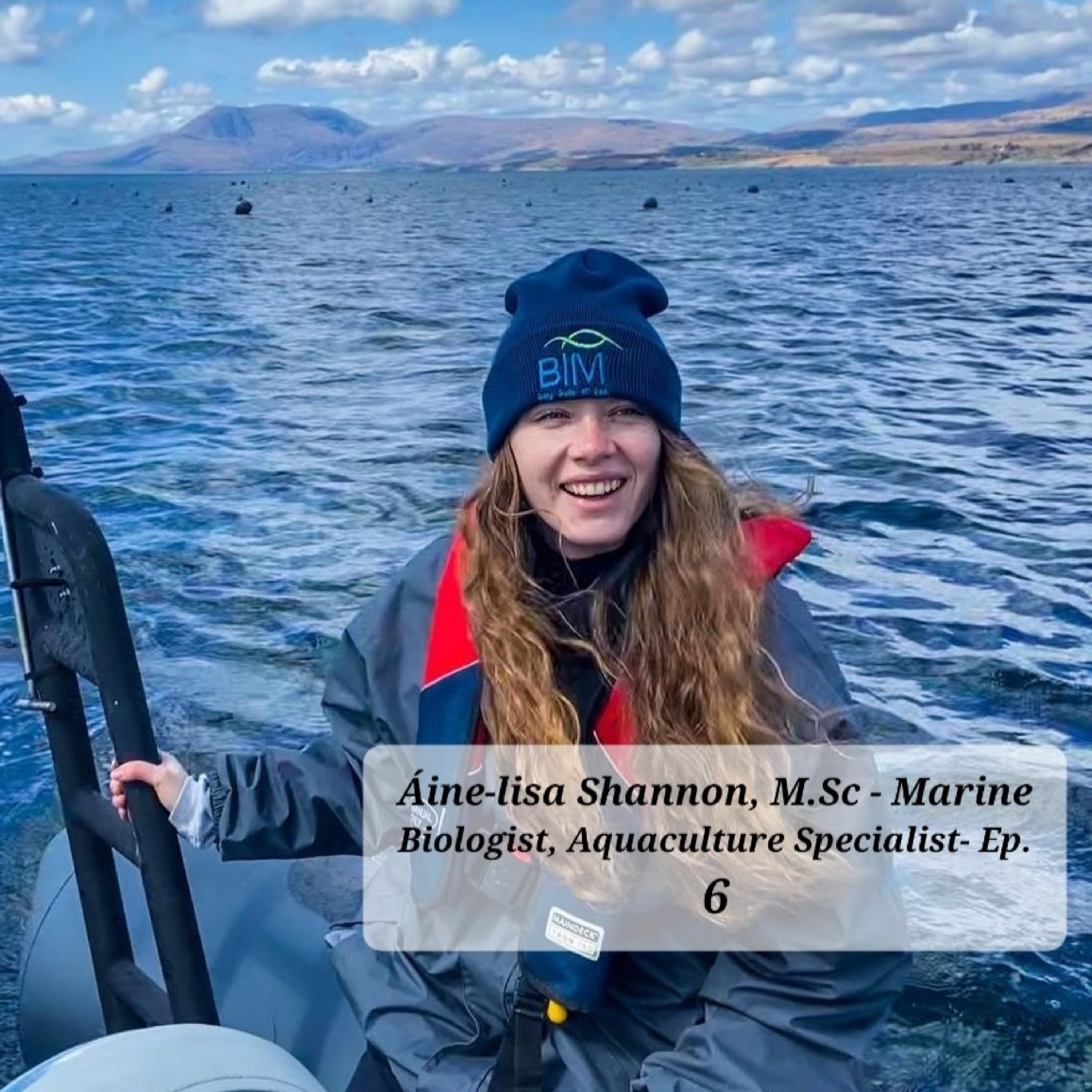 Is It Just Speculation?