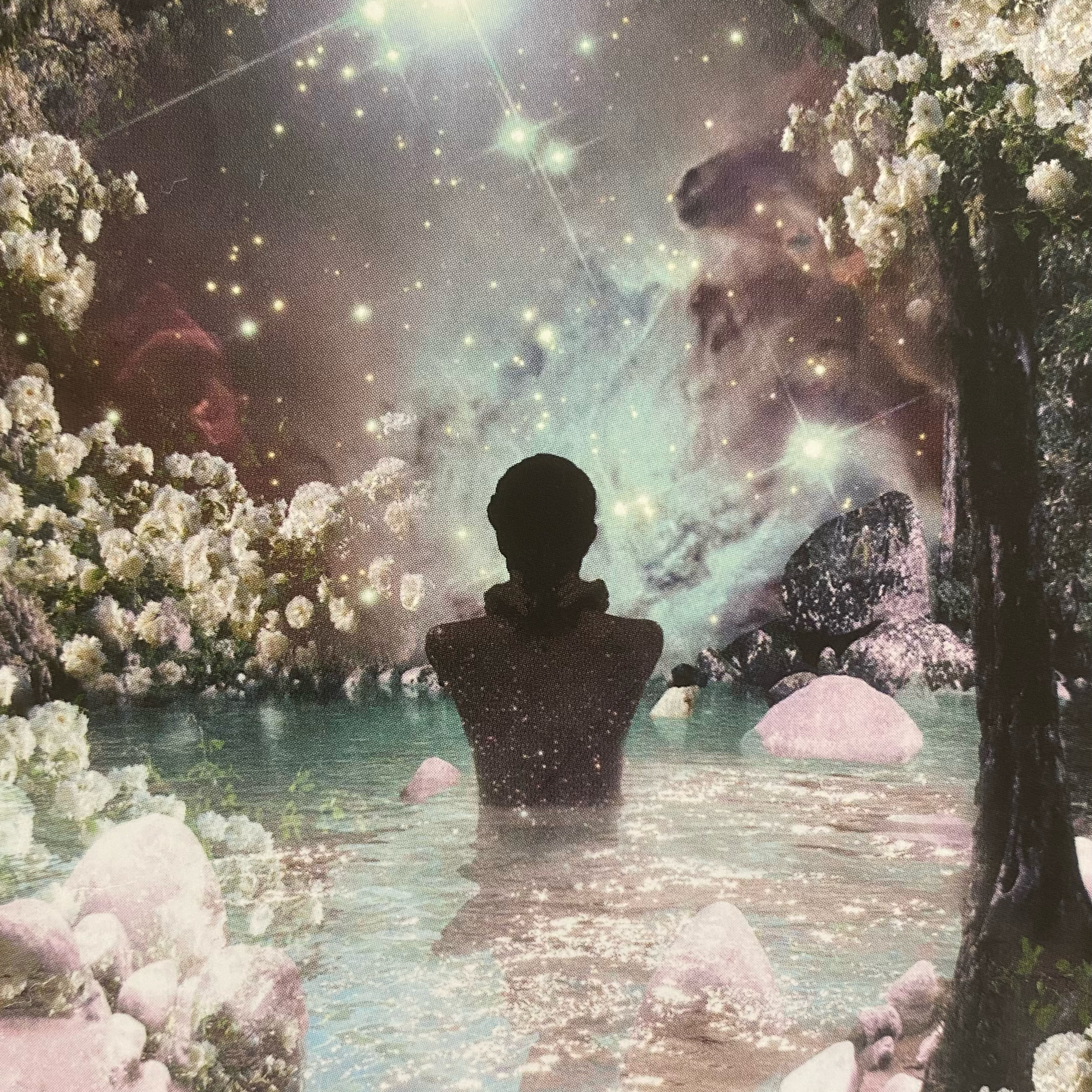 Podcast Camí de Llum 🦋 Mari Luz Pérez