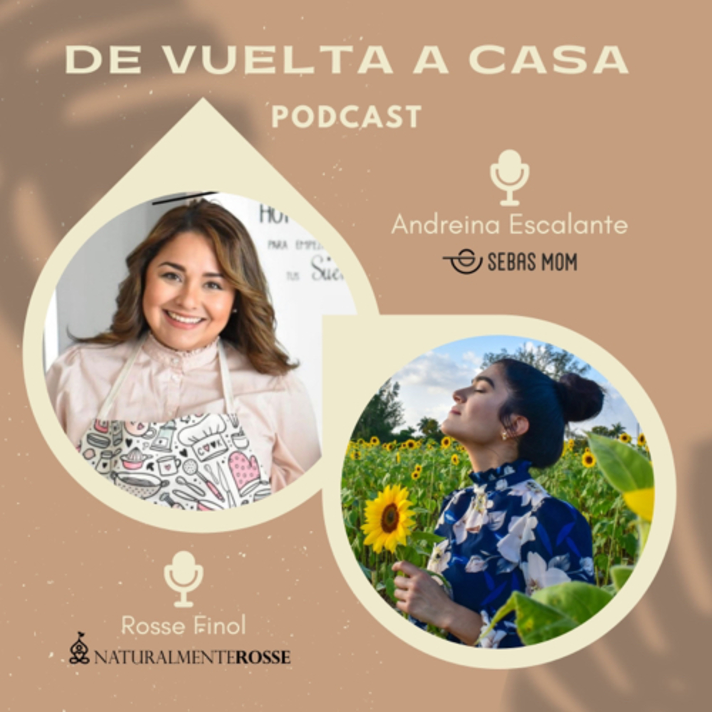 ¿Como nos Conocimos?  episode artwork