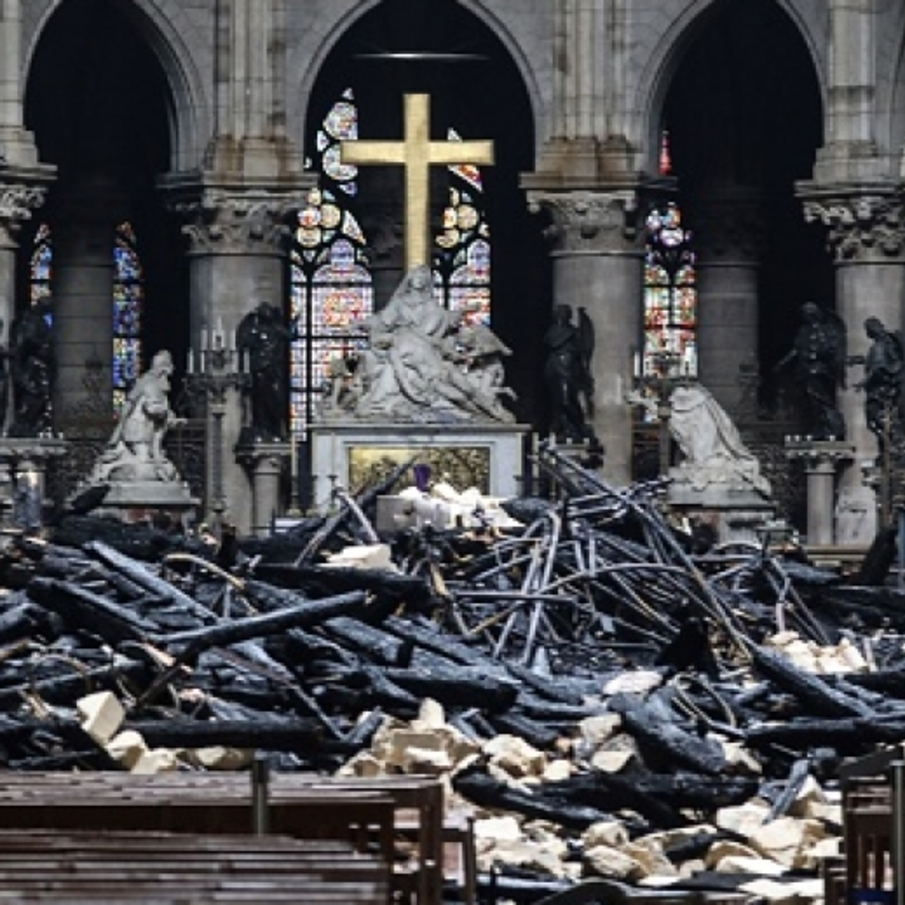 Catholic Gorillas - Homilies