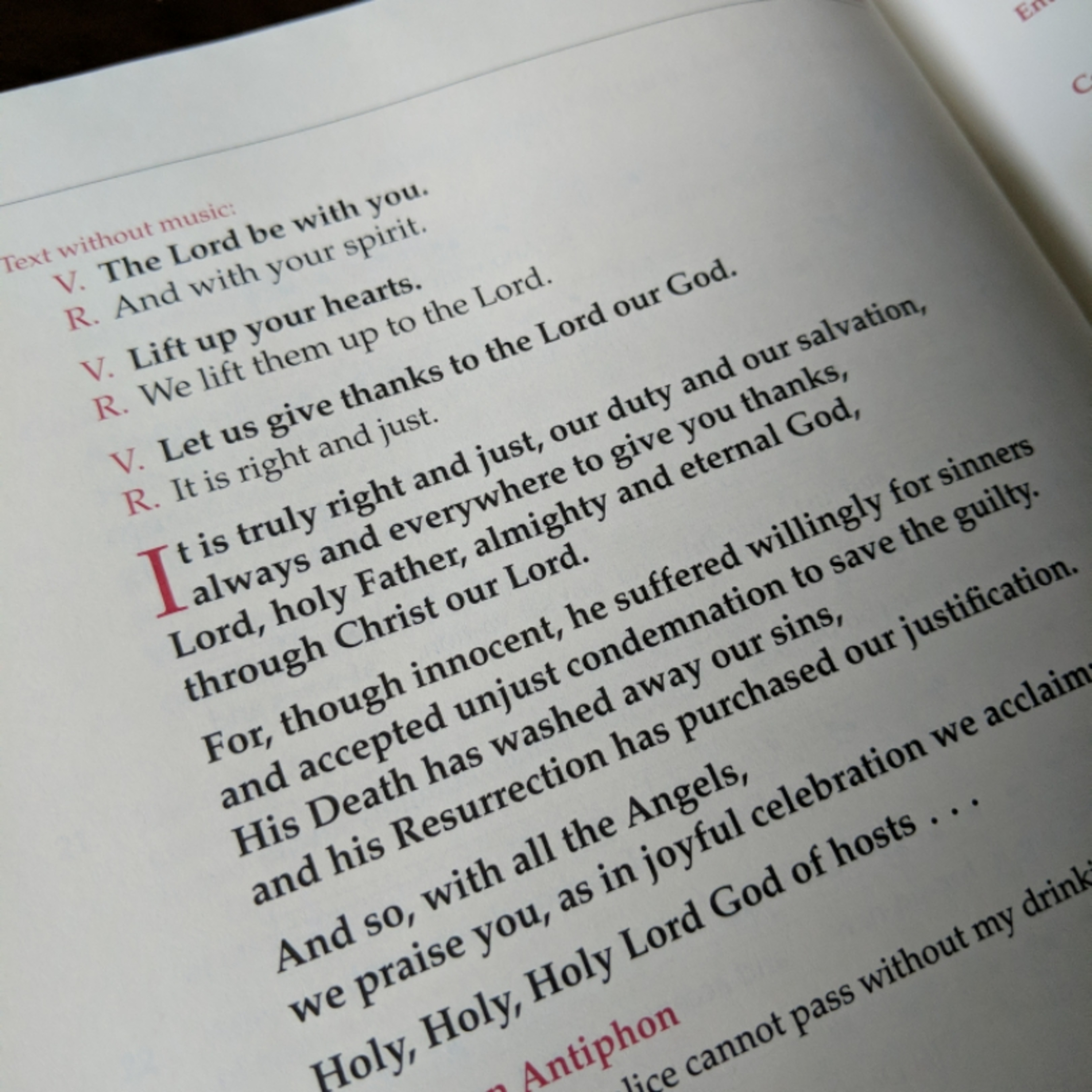 Catholic Gorillas - Homilies