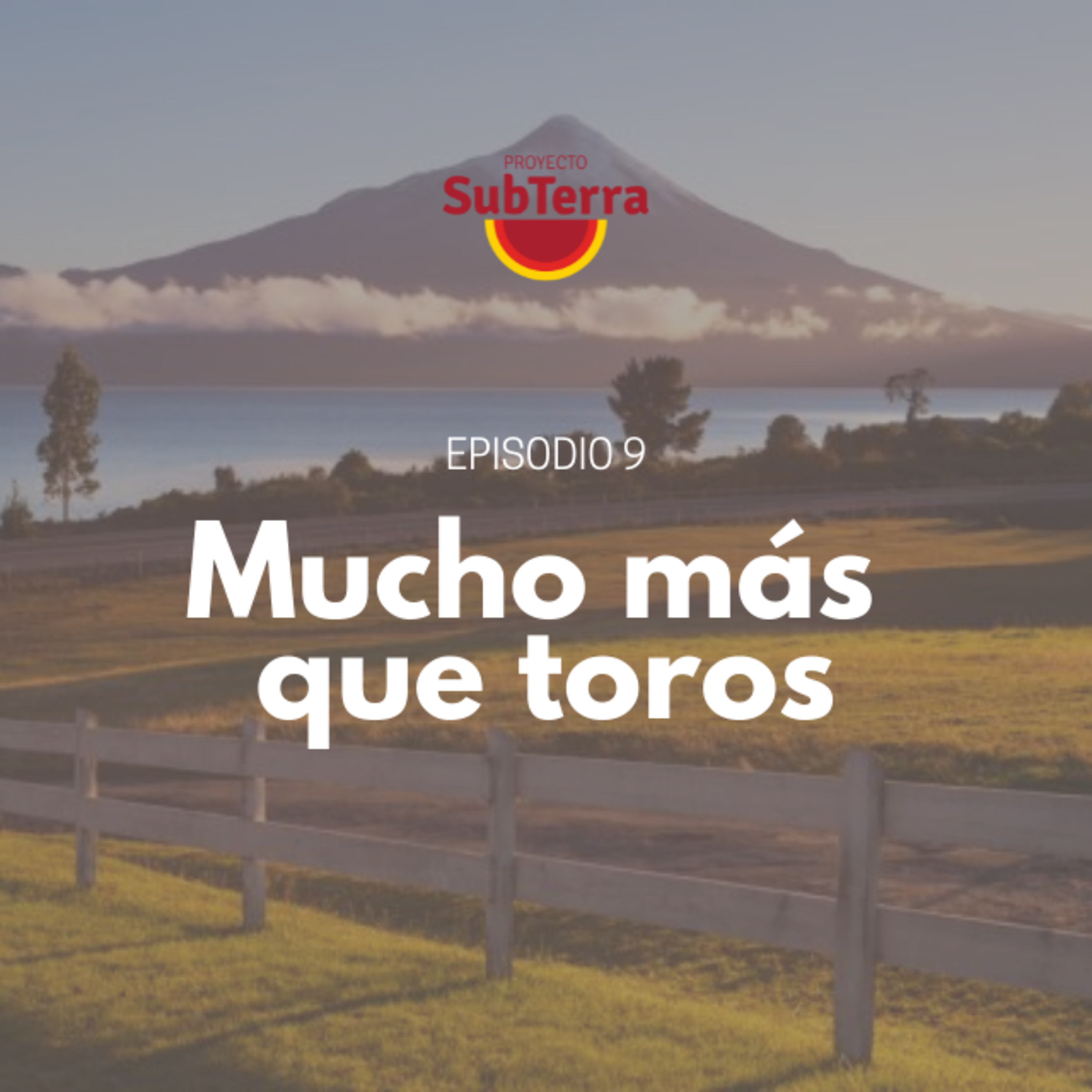 Proyecto SubTerra