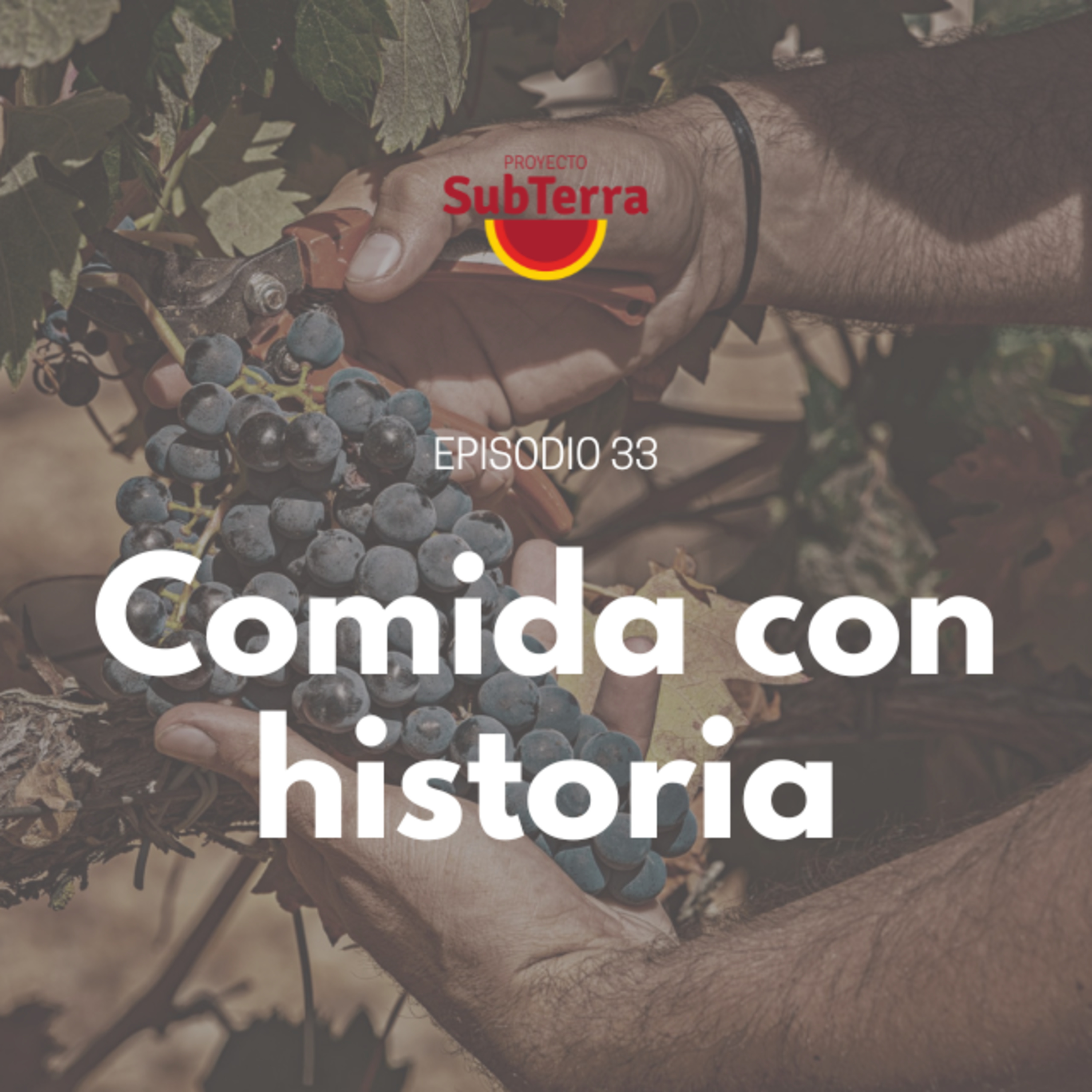 Proyecto SubTerra