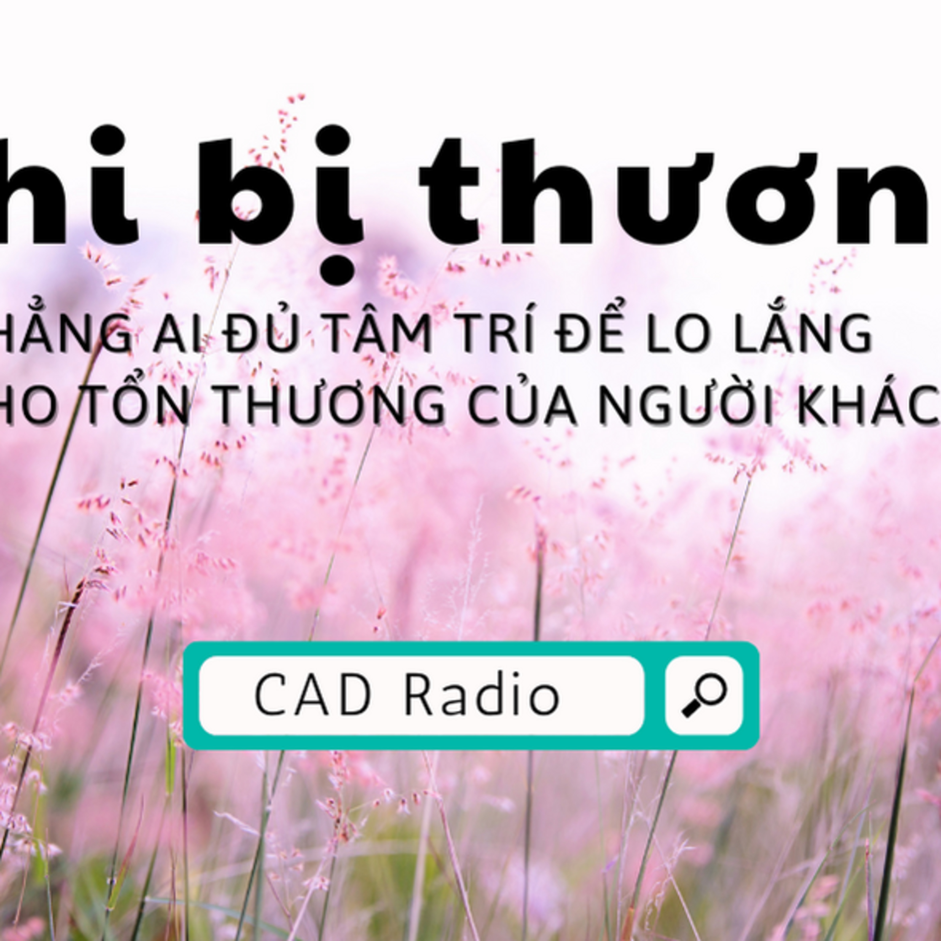 CAD Radio