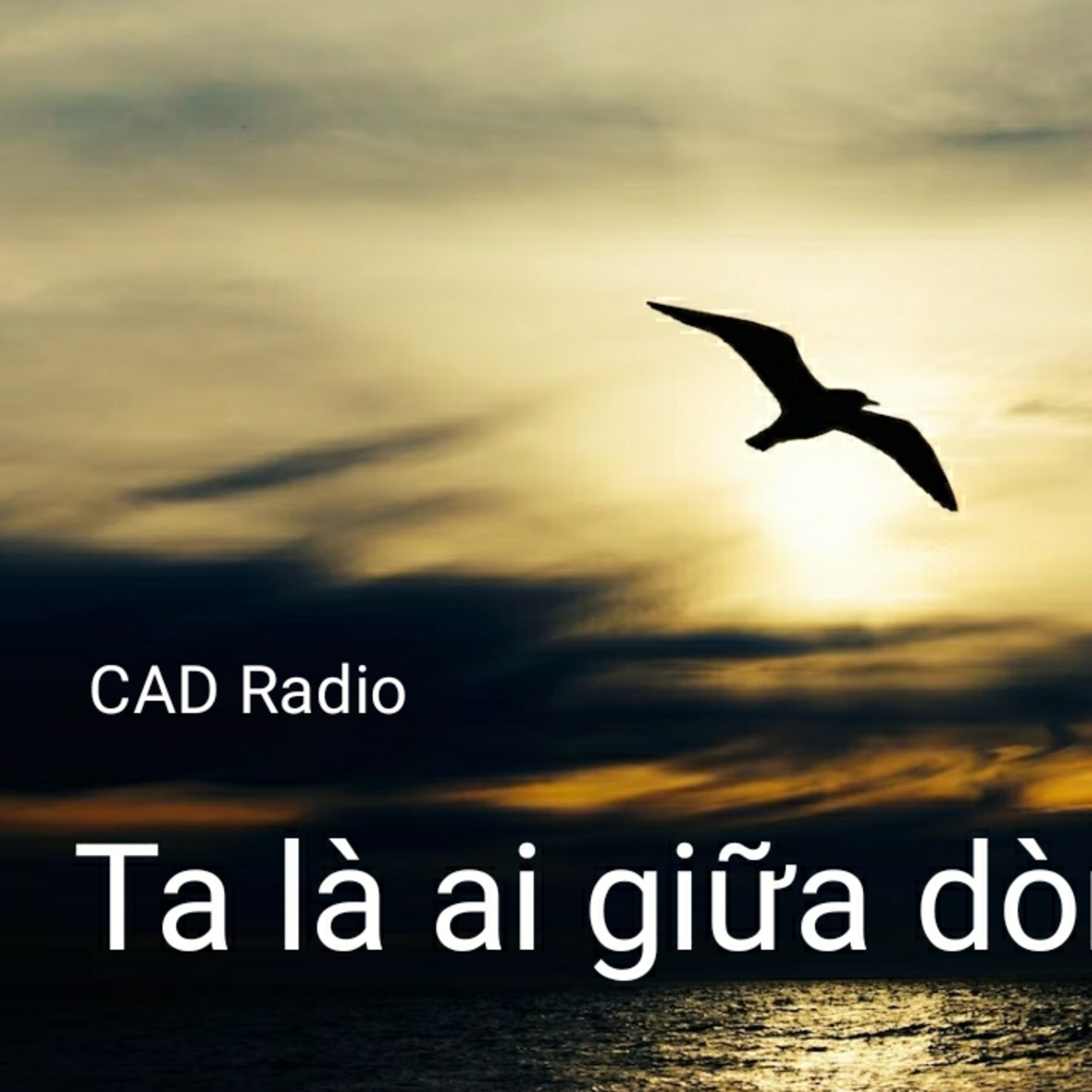 CAD Radio