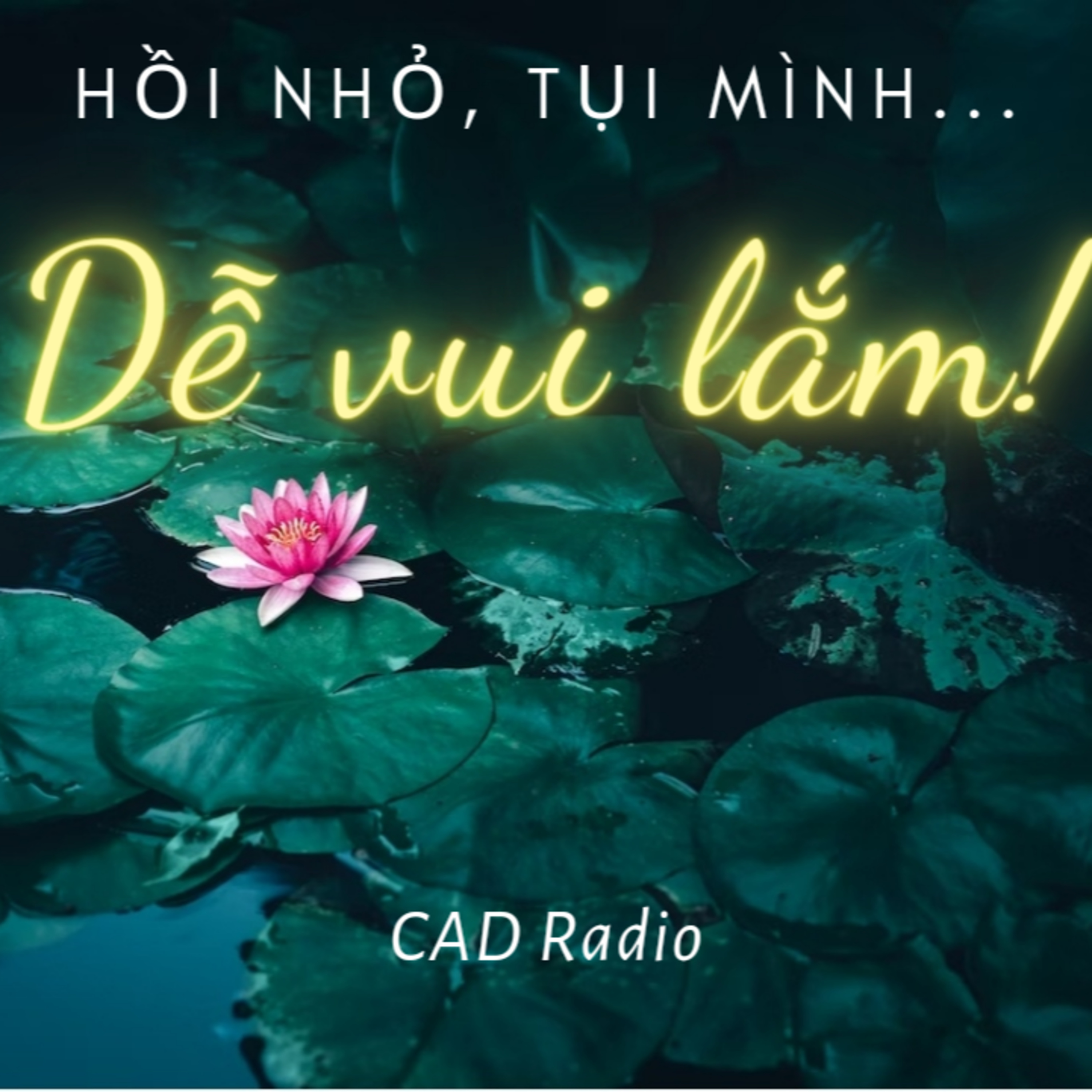 CAD Radio