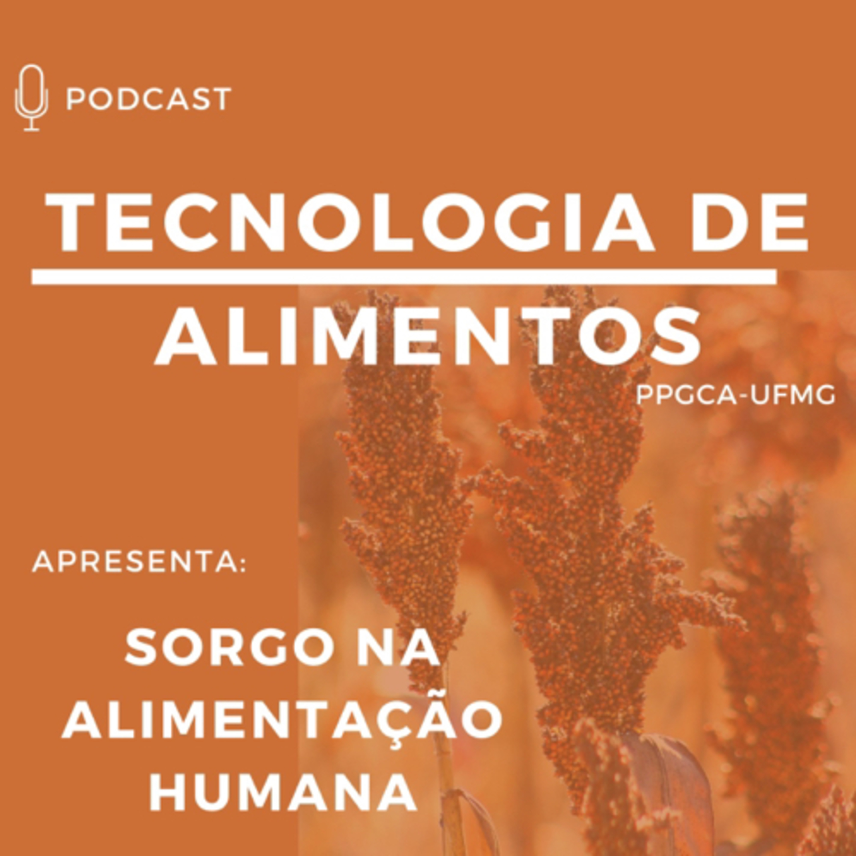 PodCast da Tecnologia de Alimentos
