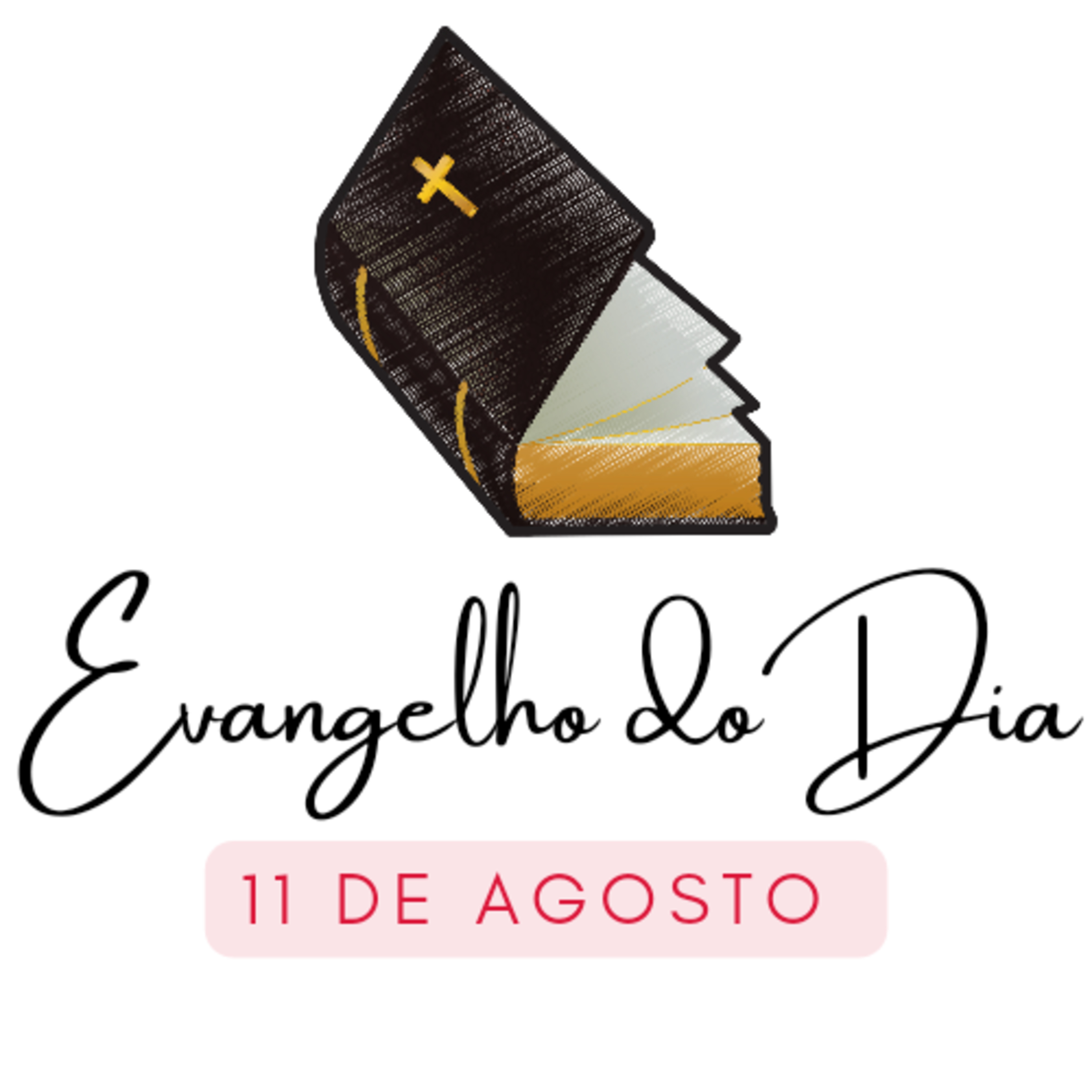 Aparecida Pinhais Cast