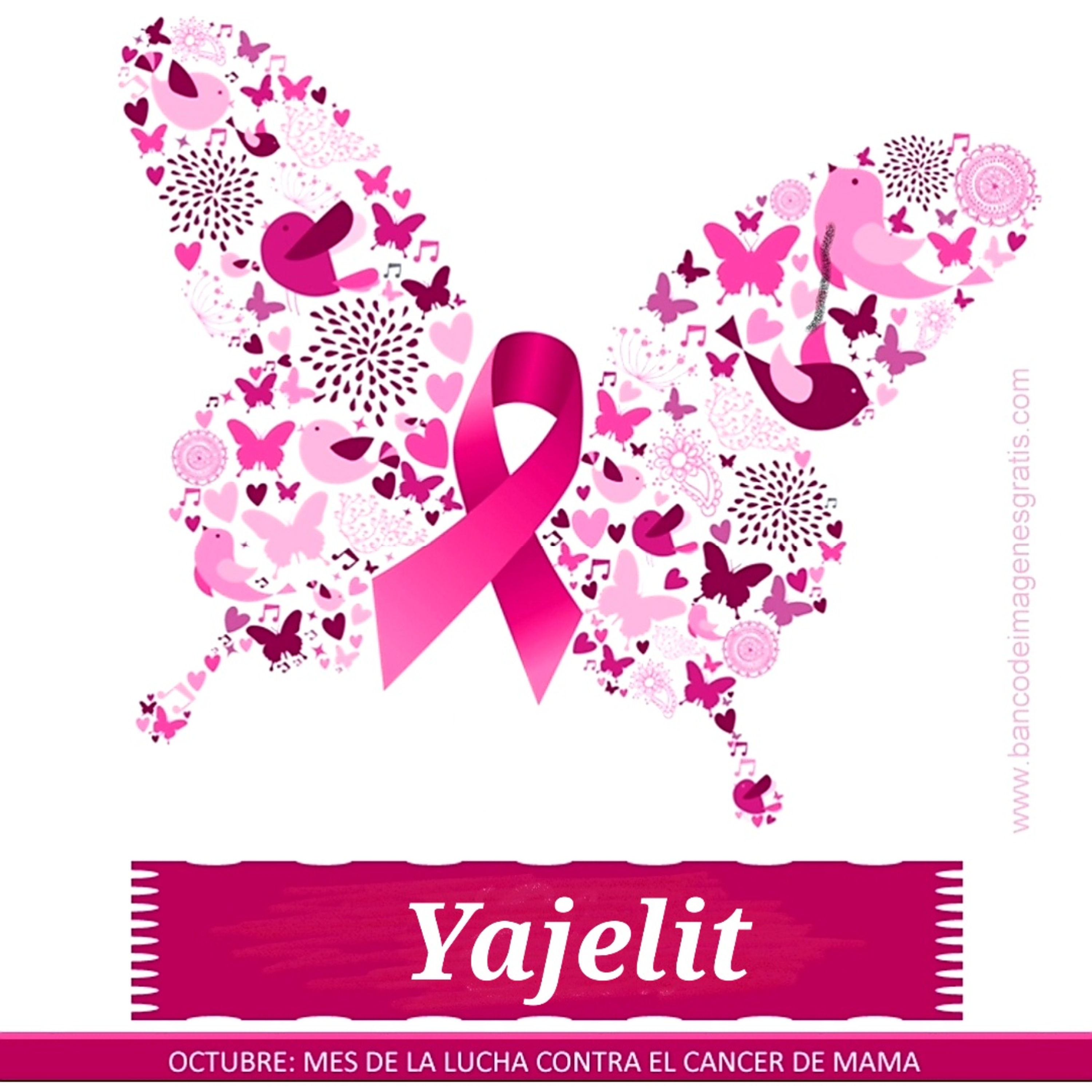 Yajelit Vásquez