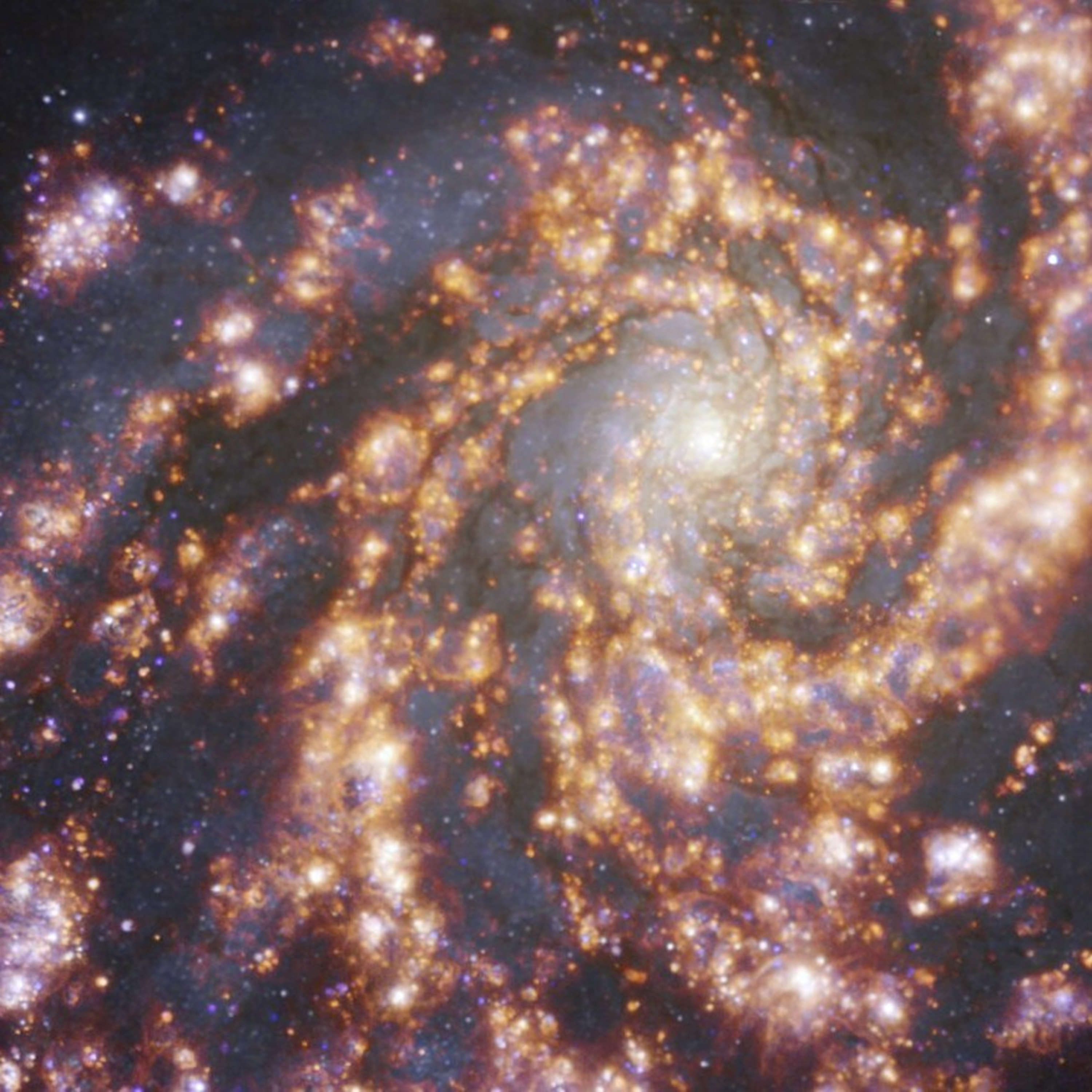A new galaxy? The Scientific Pioneer, Liceo Guatemala School episode artwork