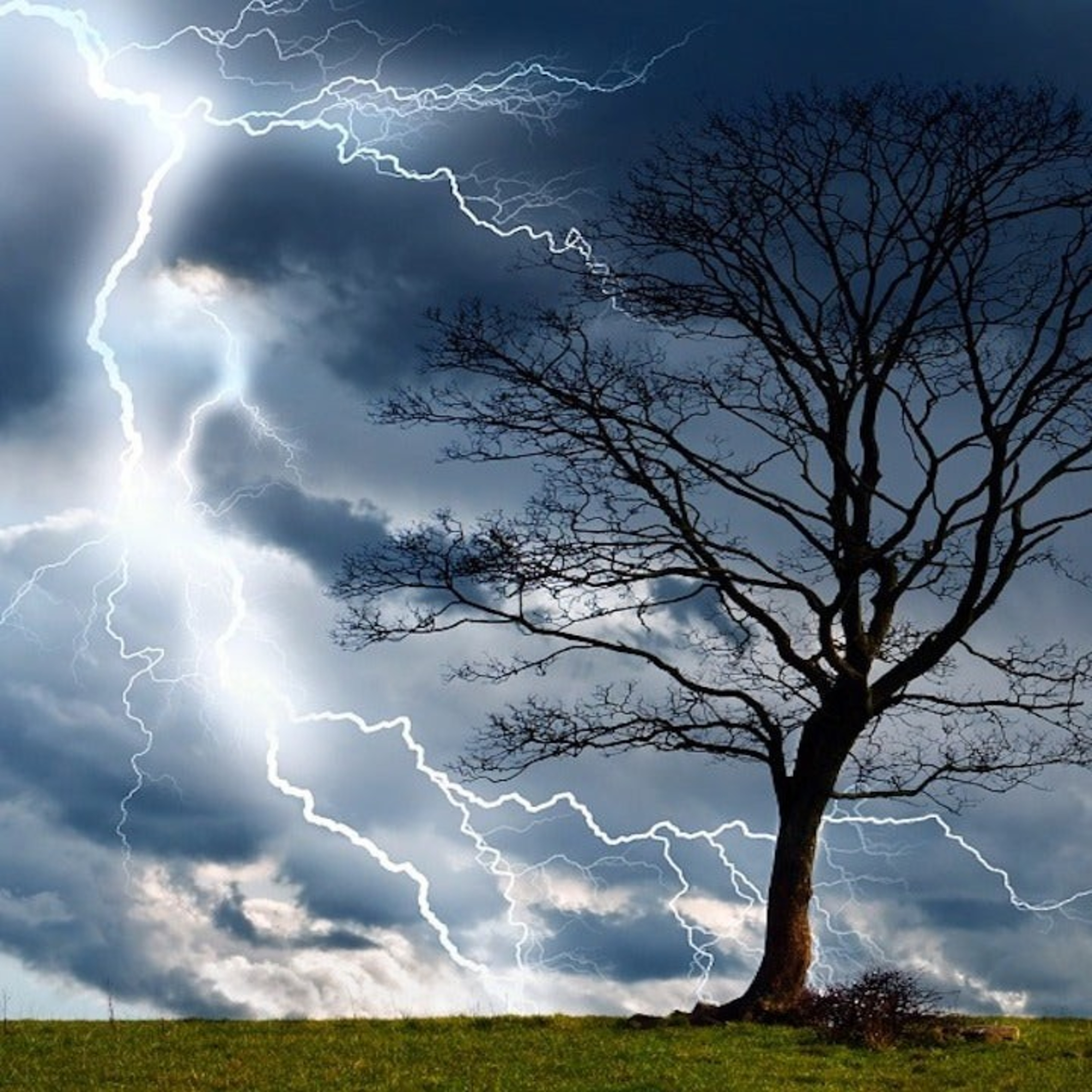 They discover that lightning has produced a mineral, The Scientific Pioneer, Liceo Guatemala School
 episode artwork