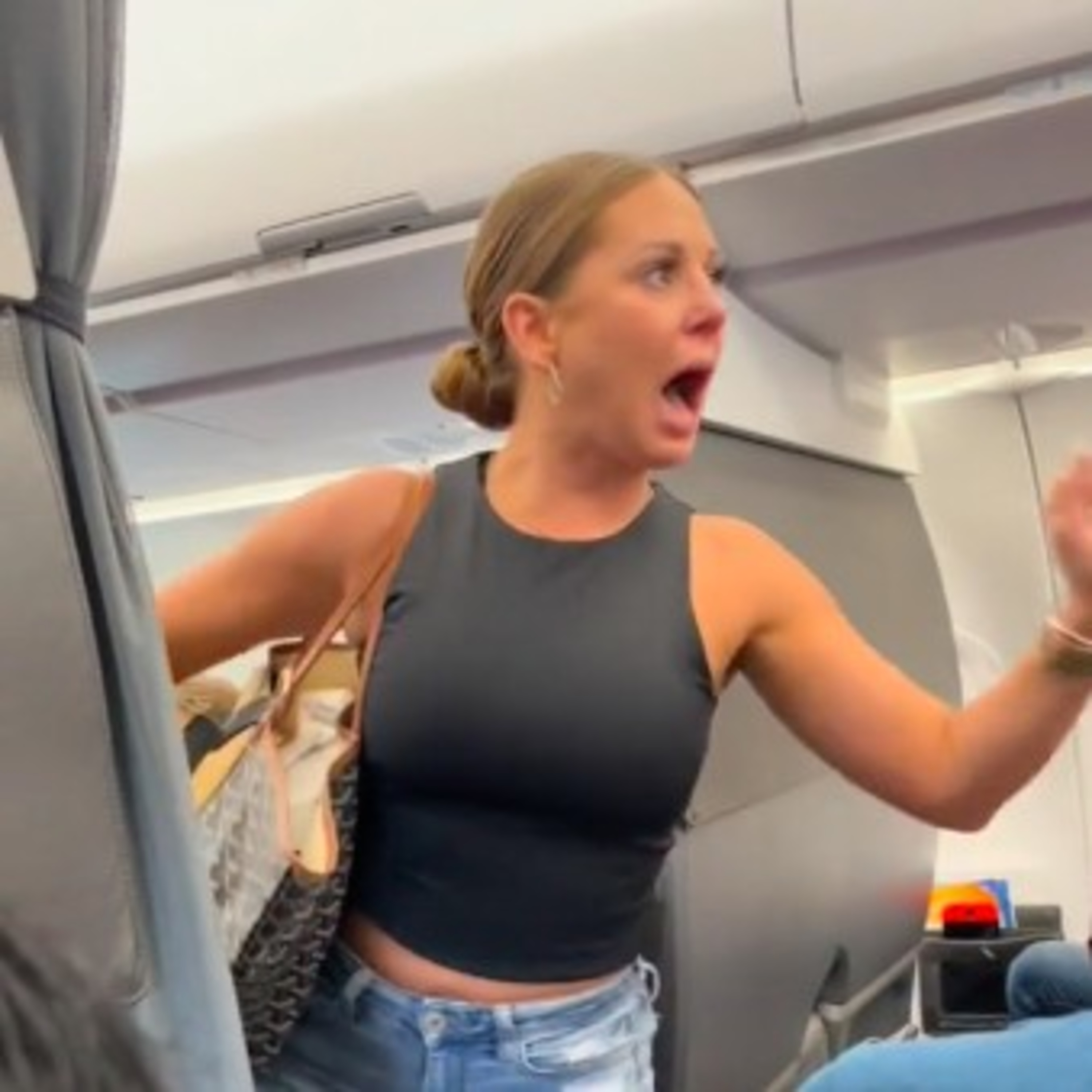 Plane Lady Channeled (divine intervention & reveal of entity latched onto solar) episode artwork