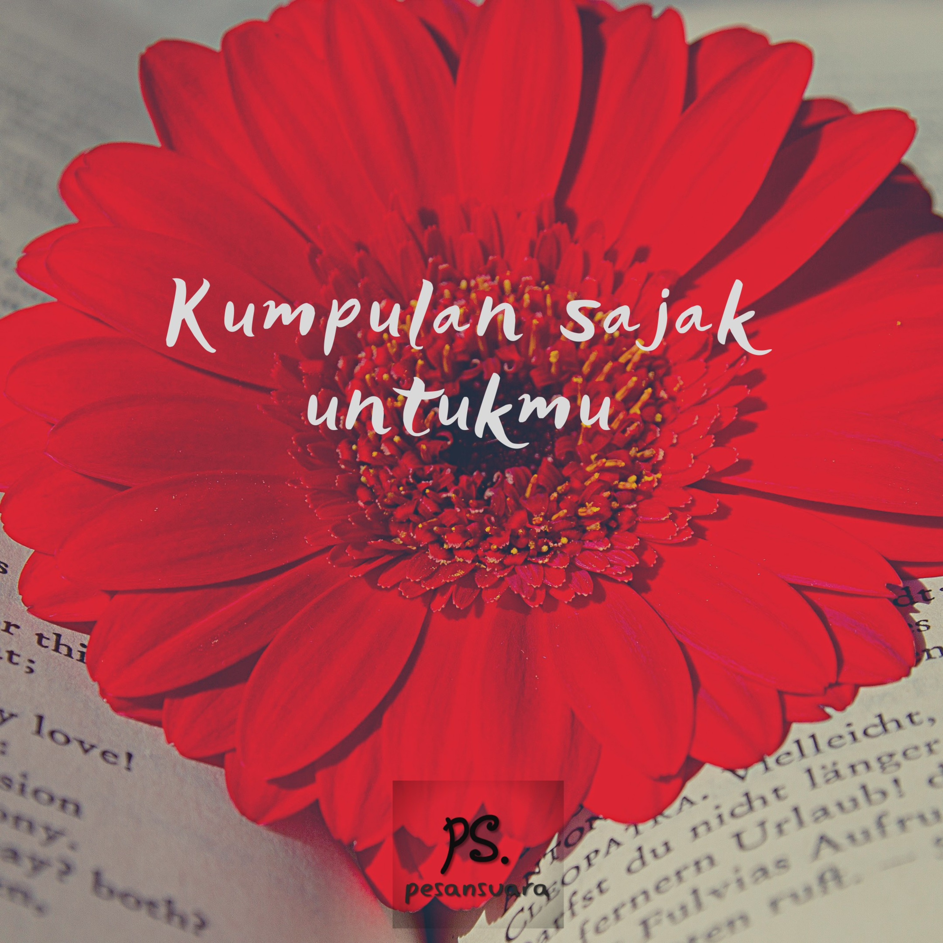 Pesan Suara