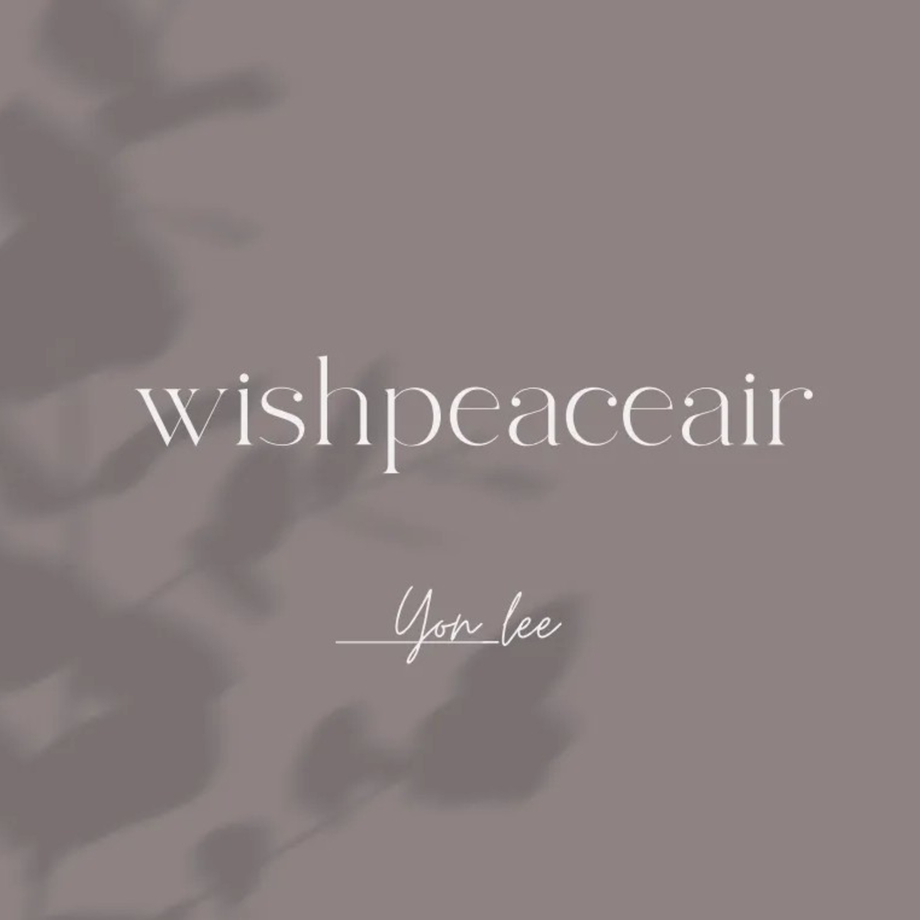 Hi!Wishpeaceair