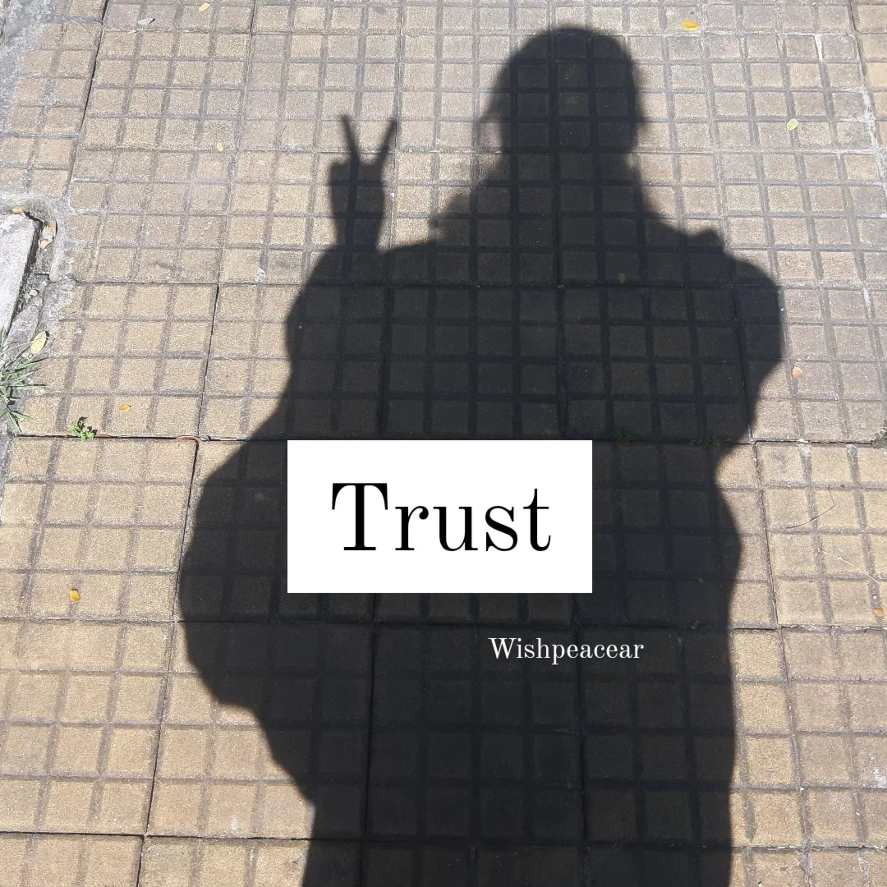 Hi!Wishpeaceair