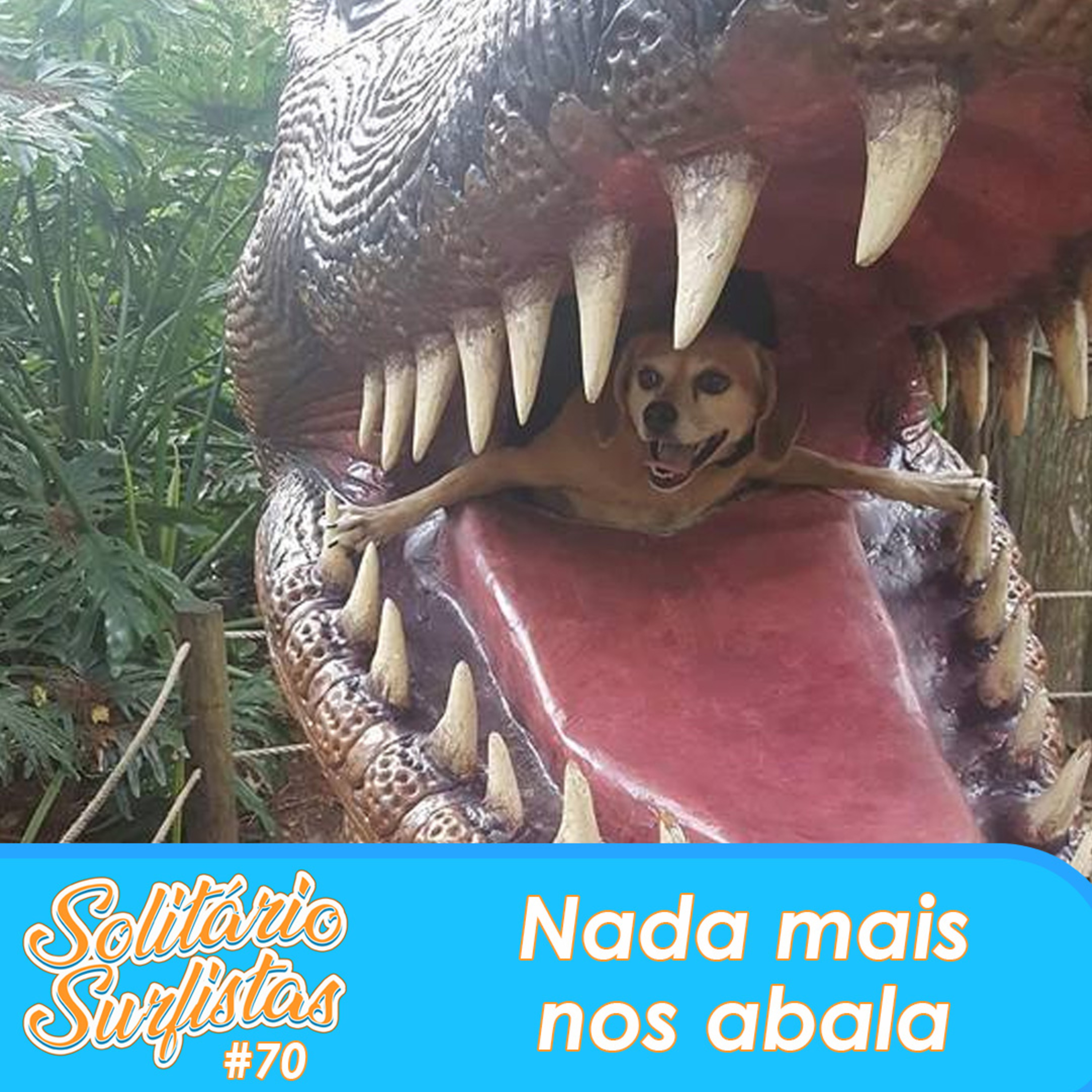 Solitário Surfistas