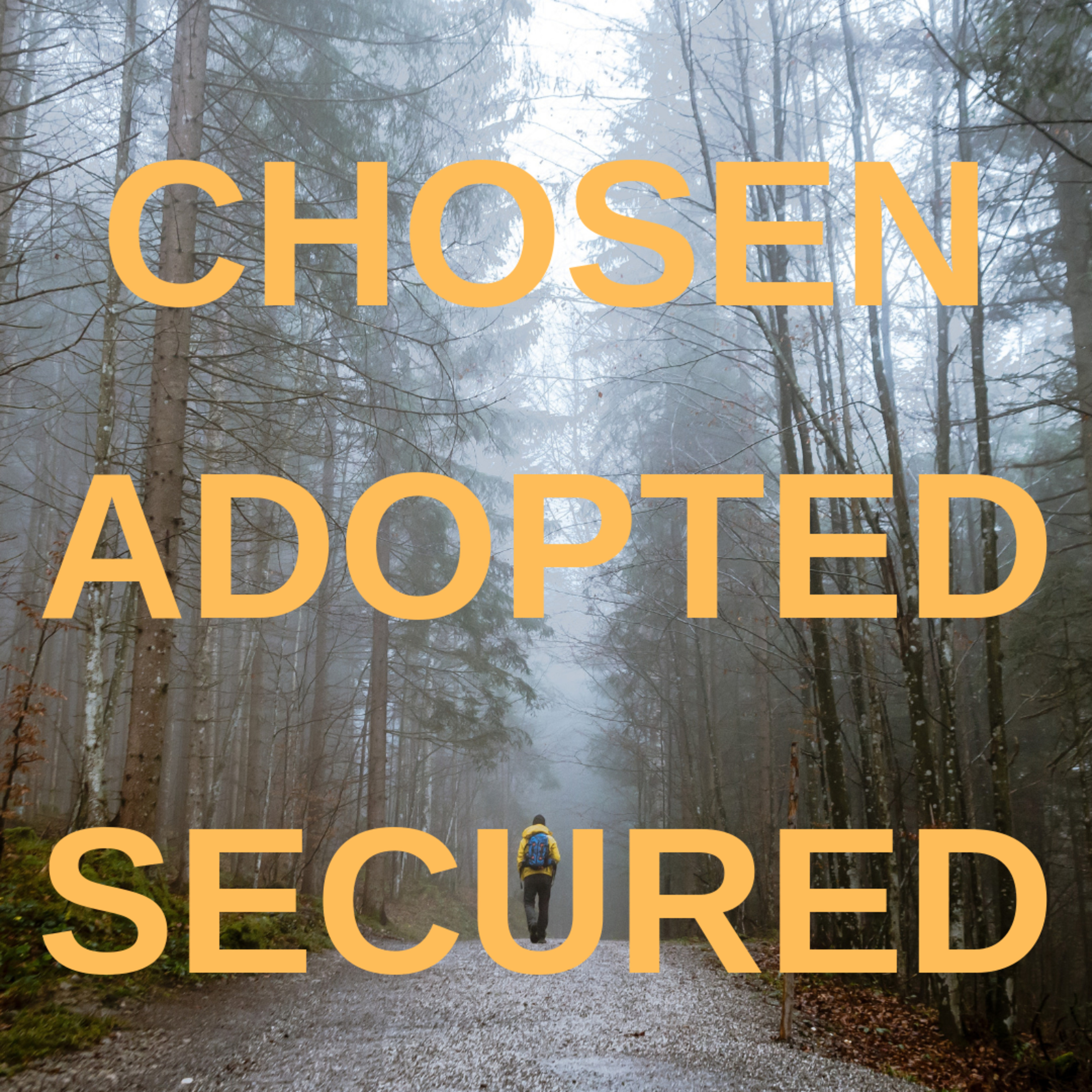 Chosen, Adopted, Secured episode artwork