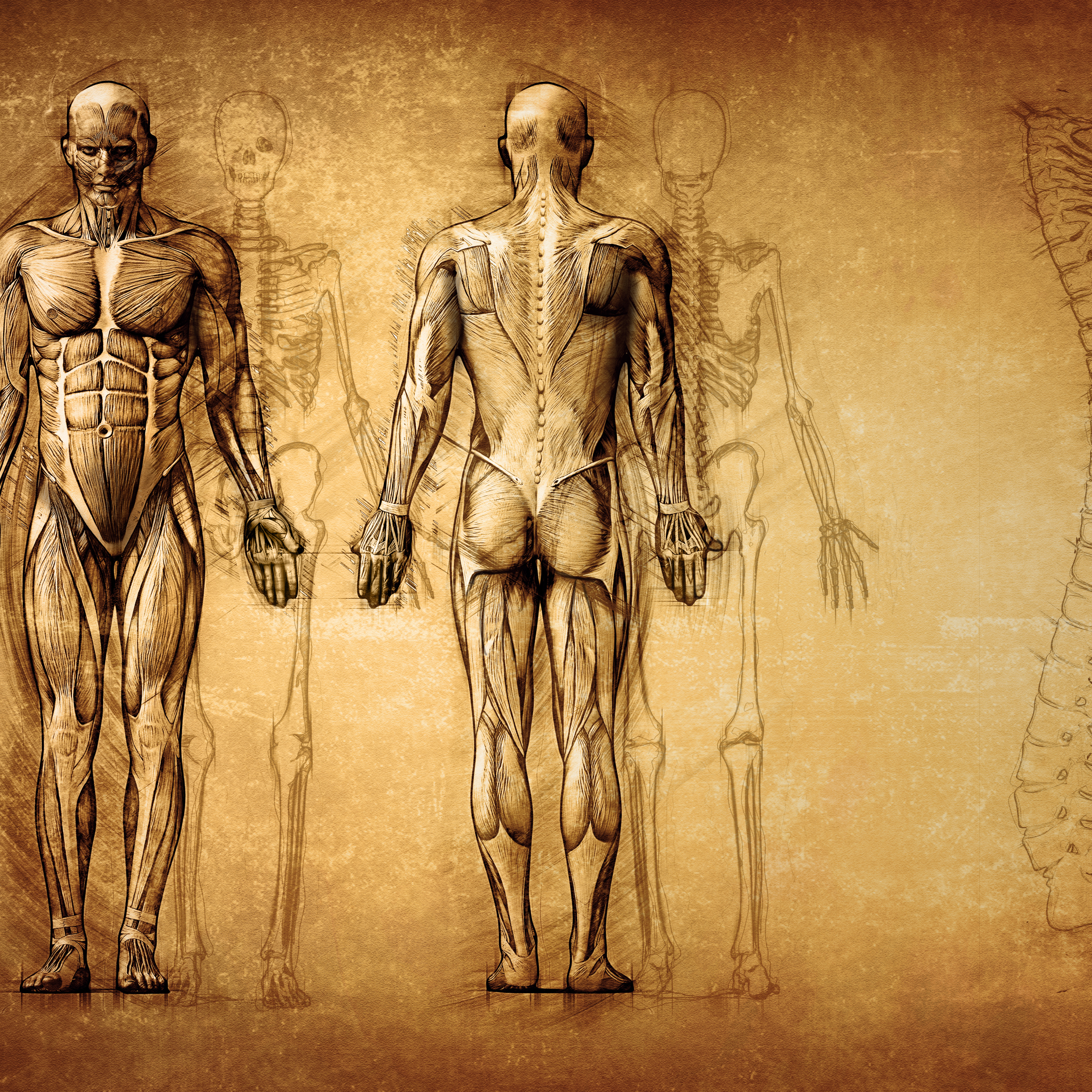 Arcturian Healing Method Podcast