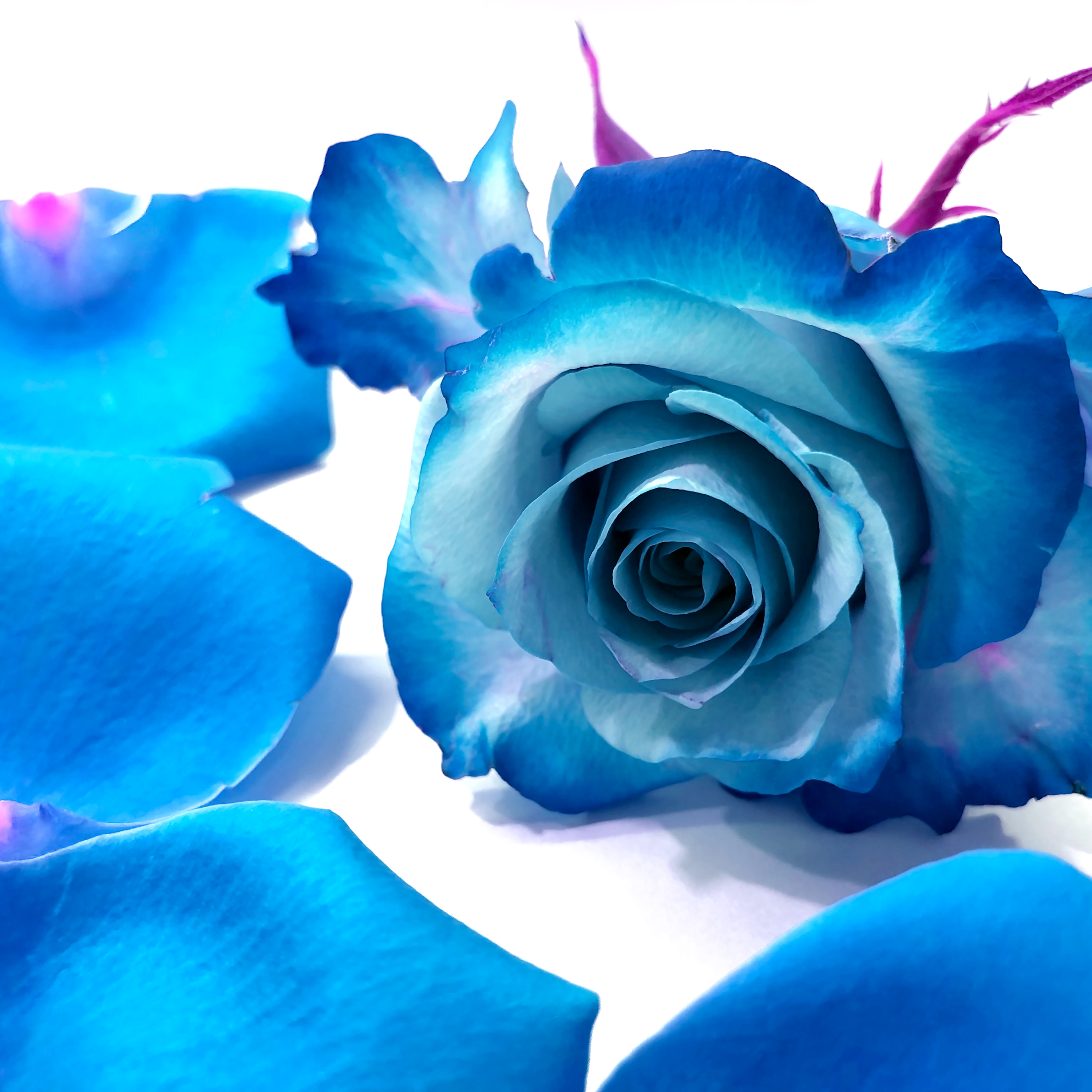 Arcturian Healing Method Podcast