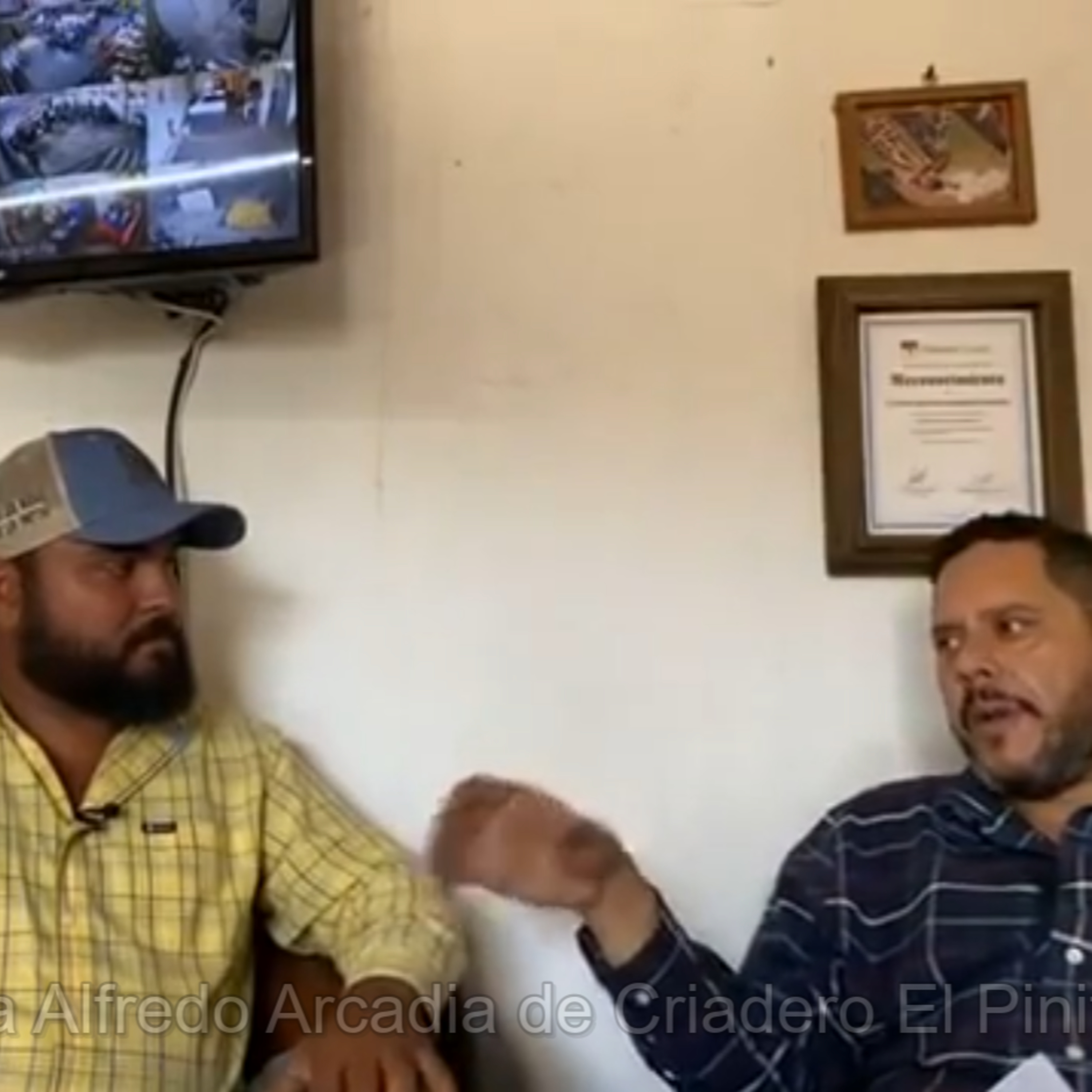 Bugarin TV oficial
