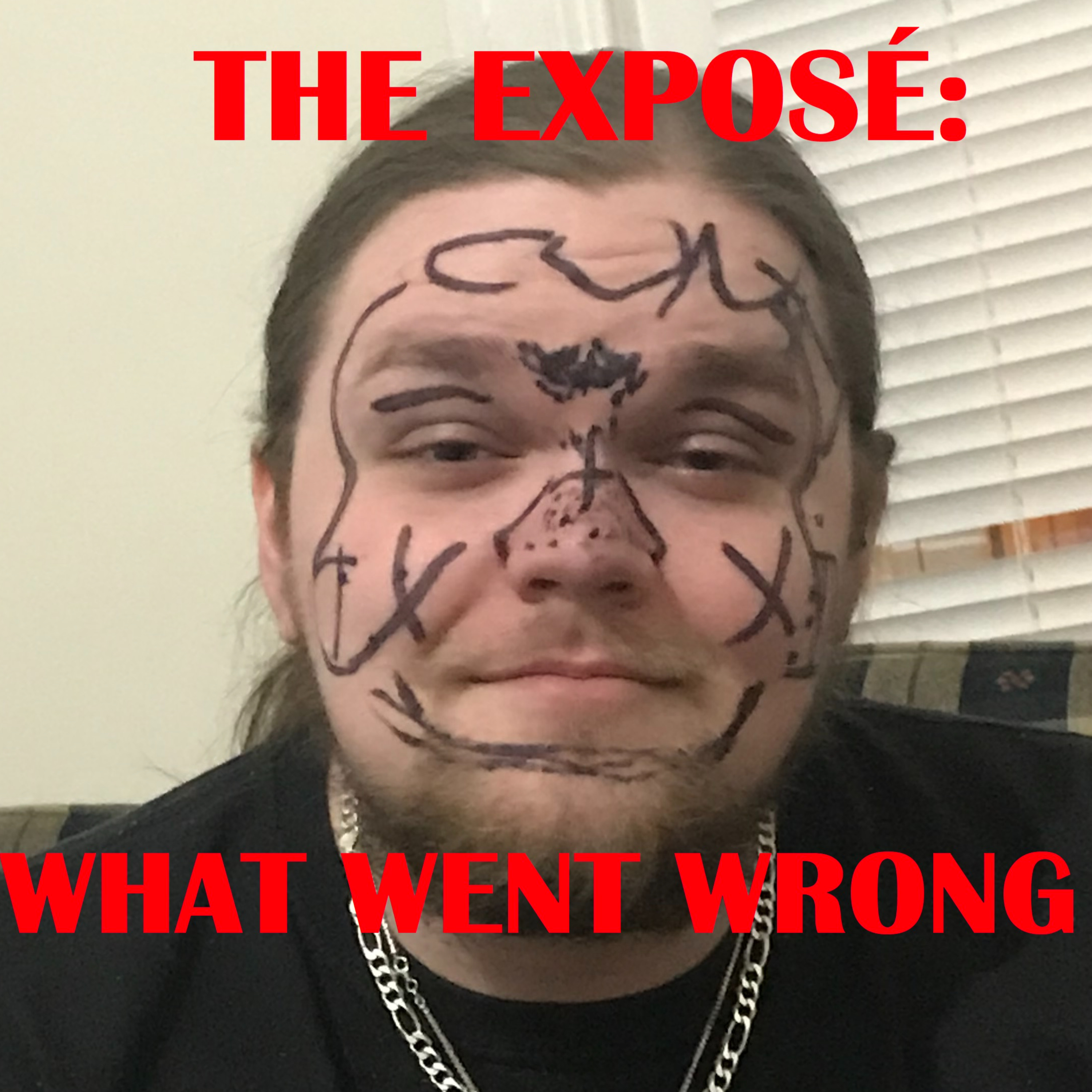 THE EXPOSÉ: what went wrong episode artwork