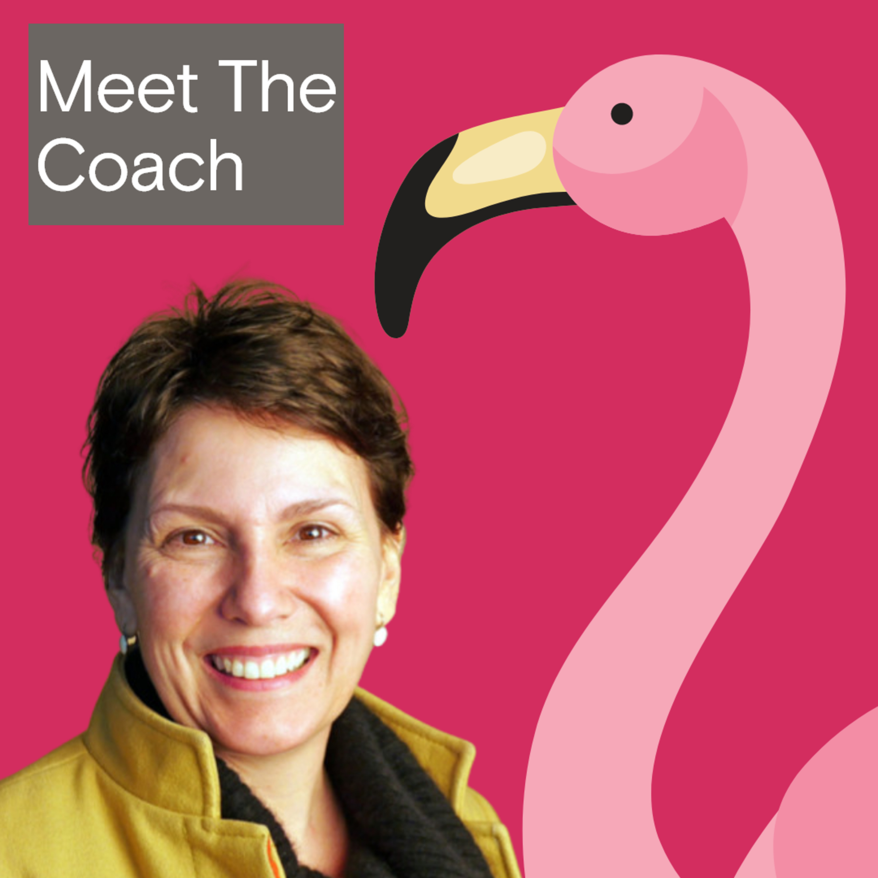 Meet The Coach (Carla Egan Consulting Podcast)