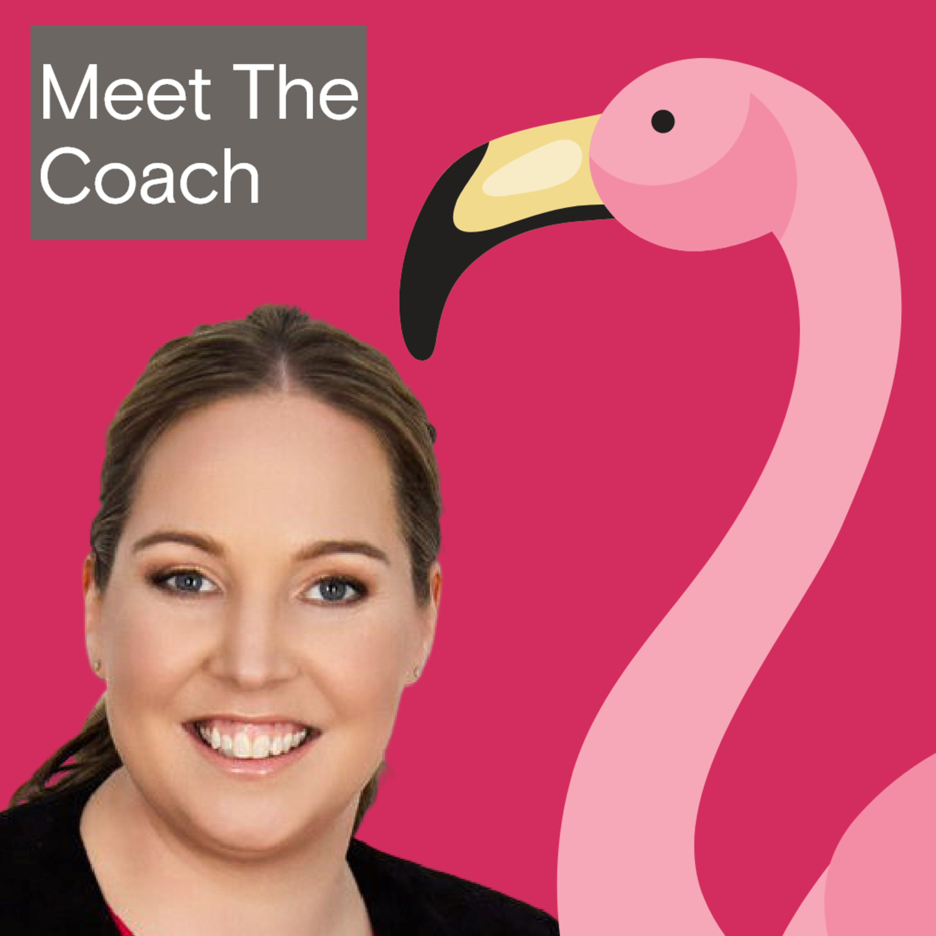 Meet The Coach (Carla Egan Consulting Podcast)