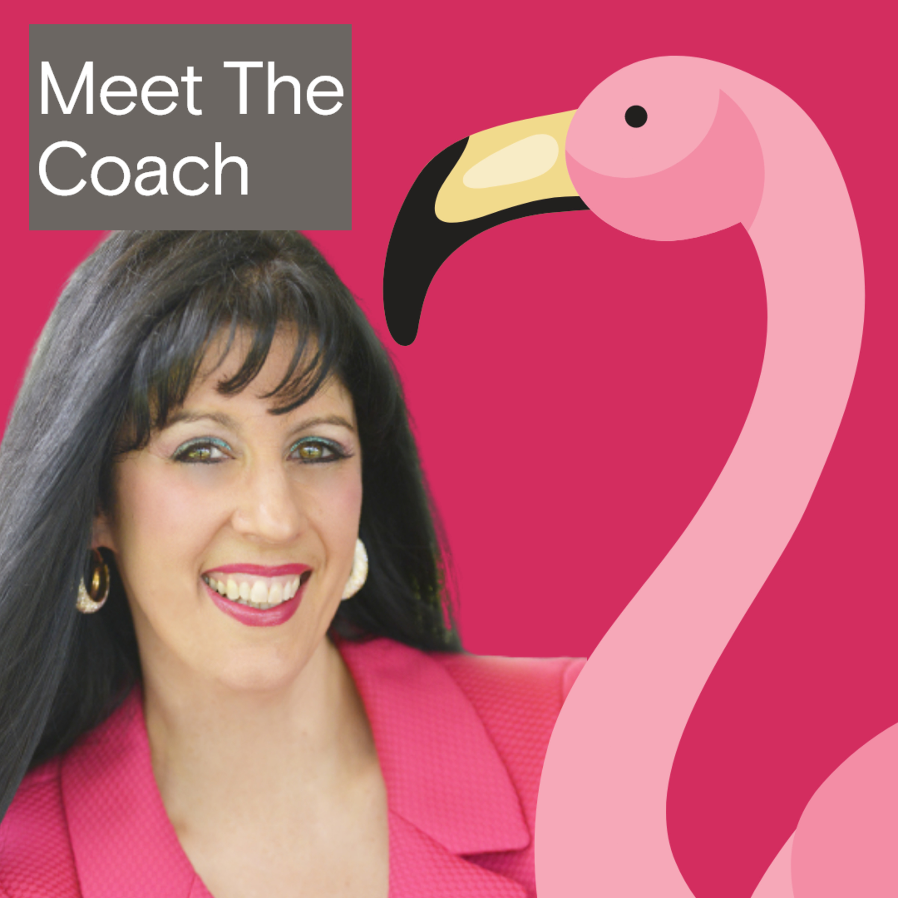 Meet The Coach (Carla Egan Consulting Podcast)
