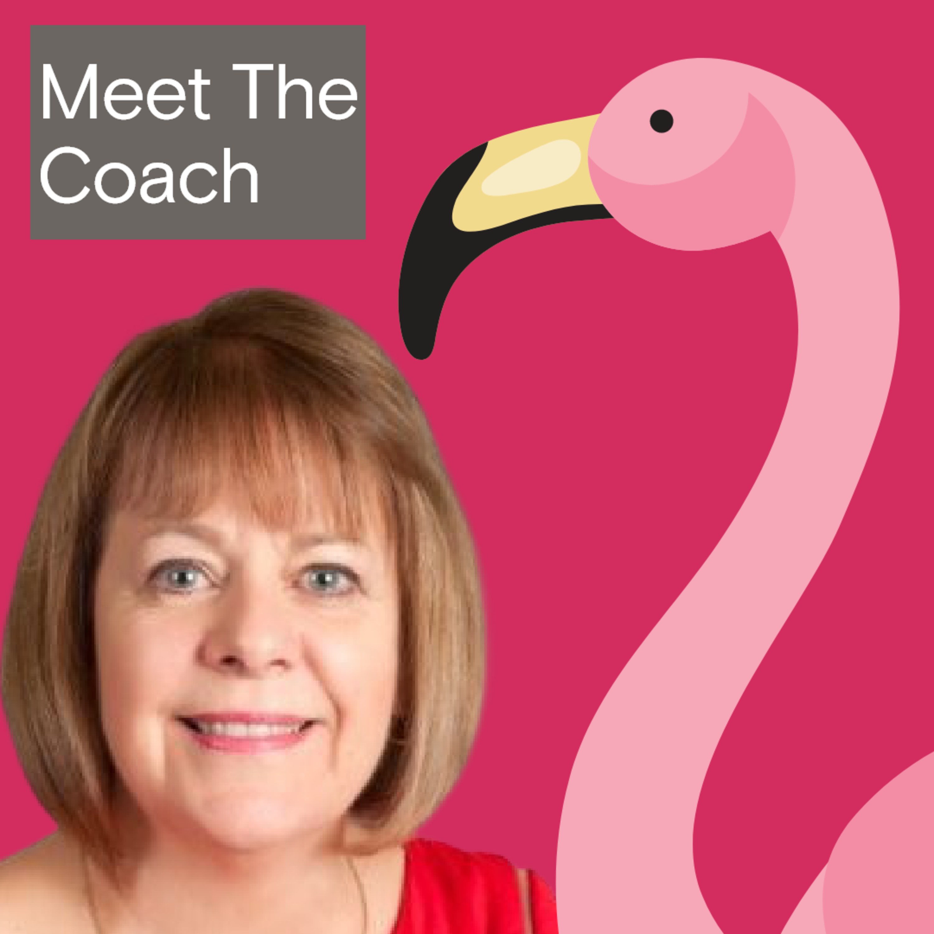 Meet The Coach (Carla Egan Consulting Podcast)