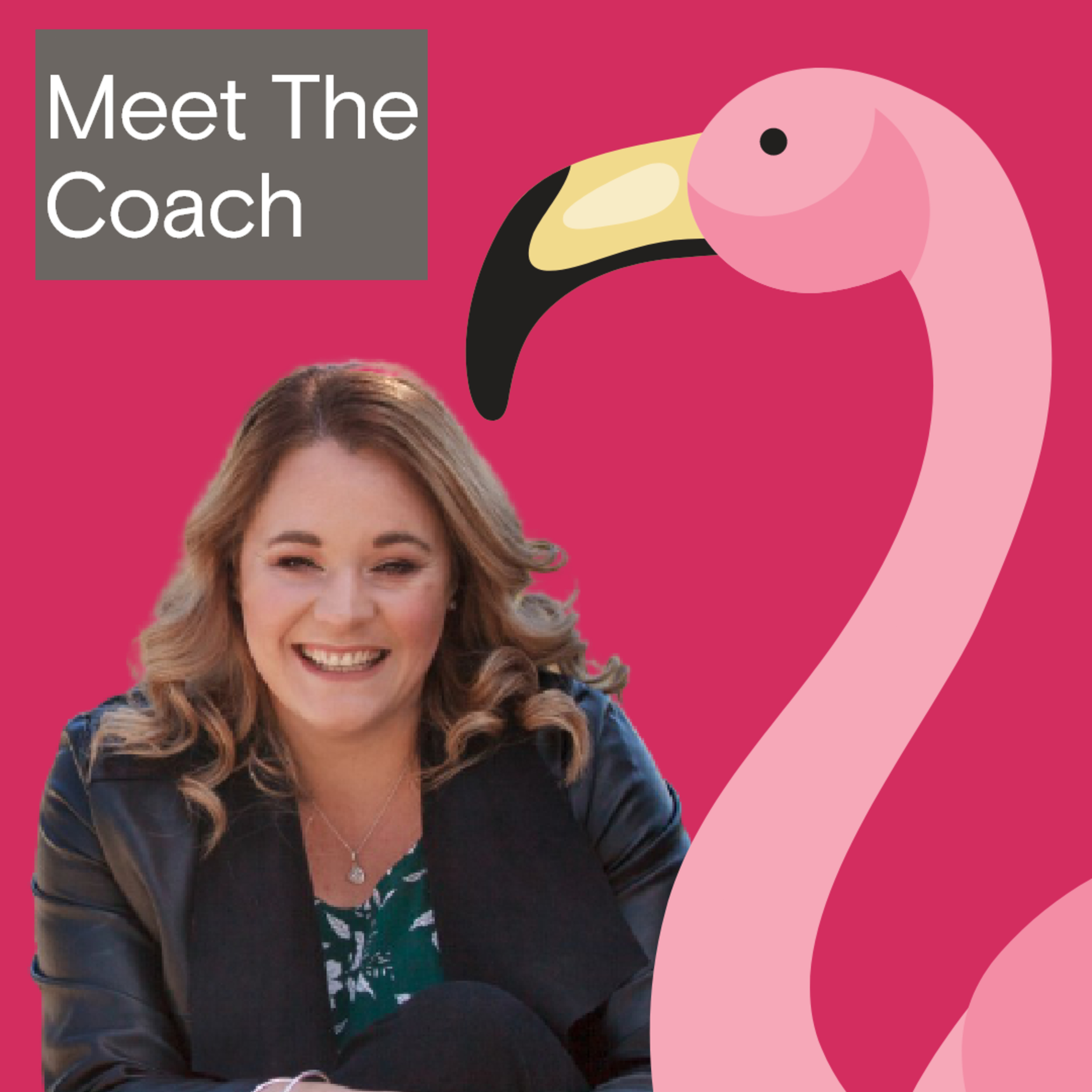 Meet The Coach (Carla Egan Consulting Podcast)