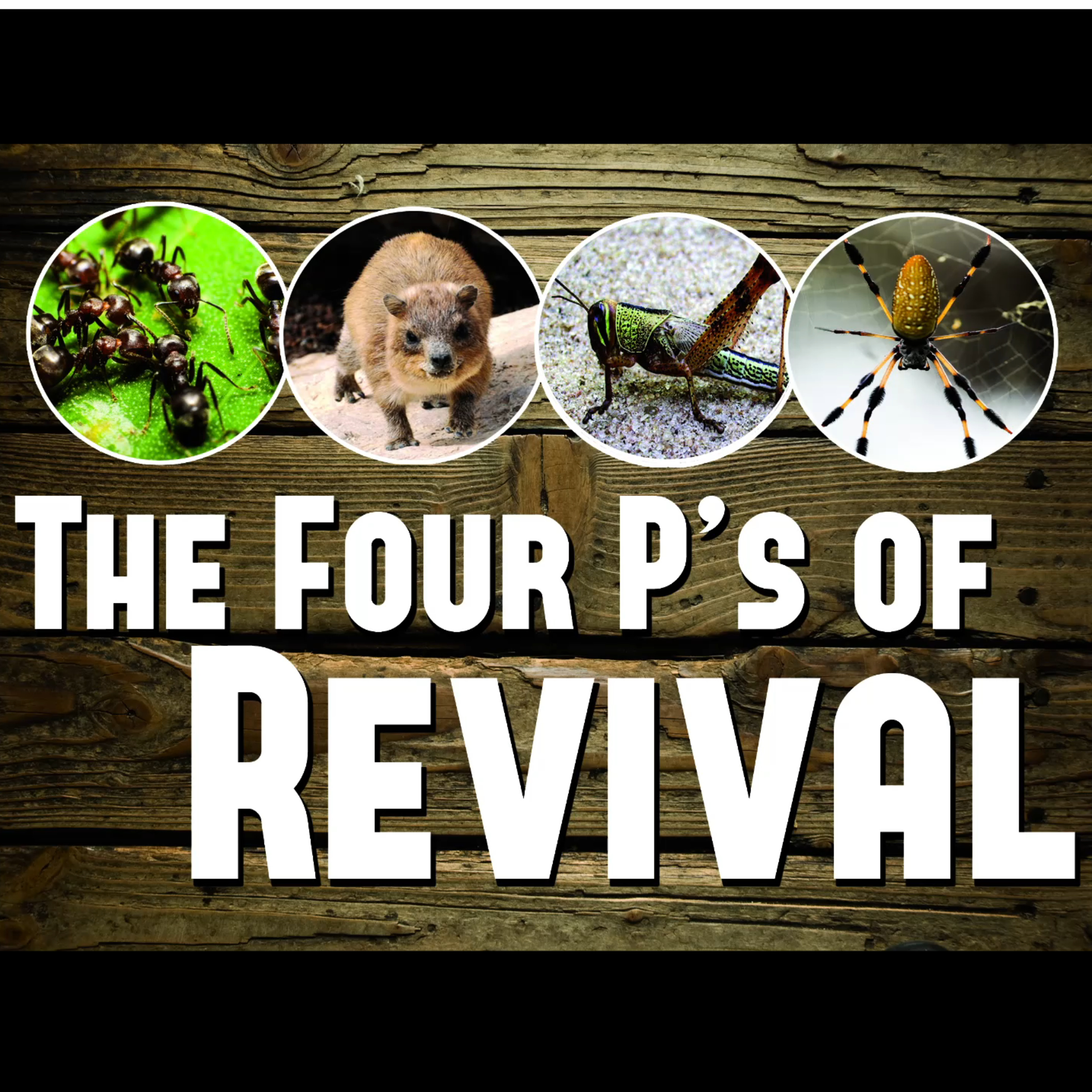 The Four P's of Revival episode artwork