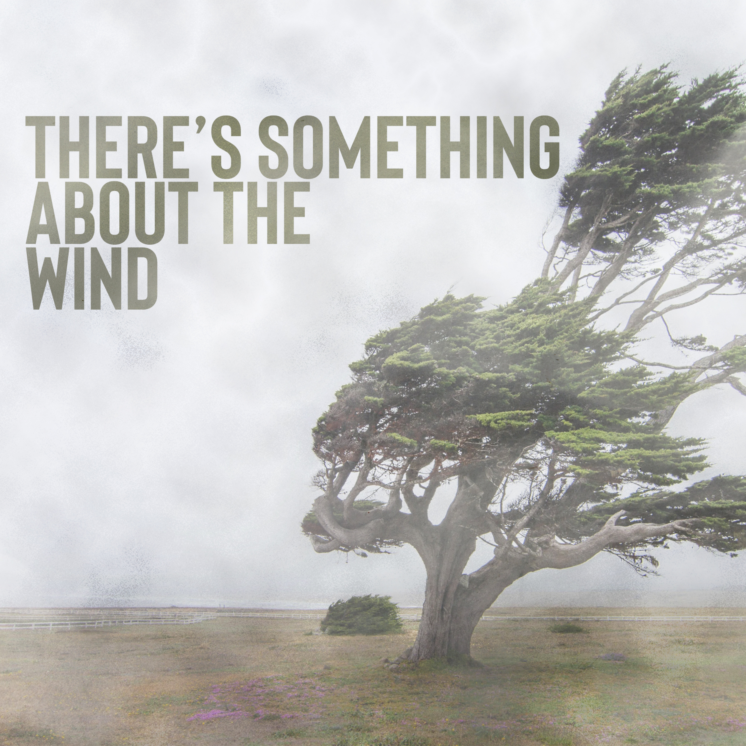 There's Something About the Wind episode artwork