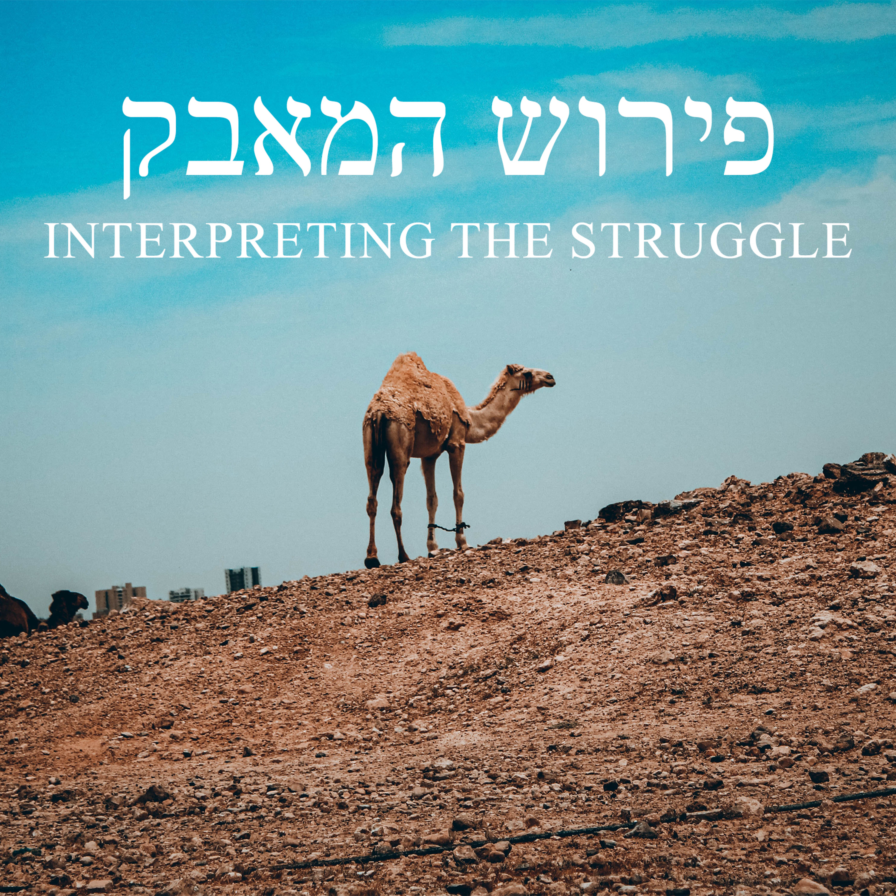 Interpreting the Struggle episode artwork