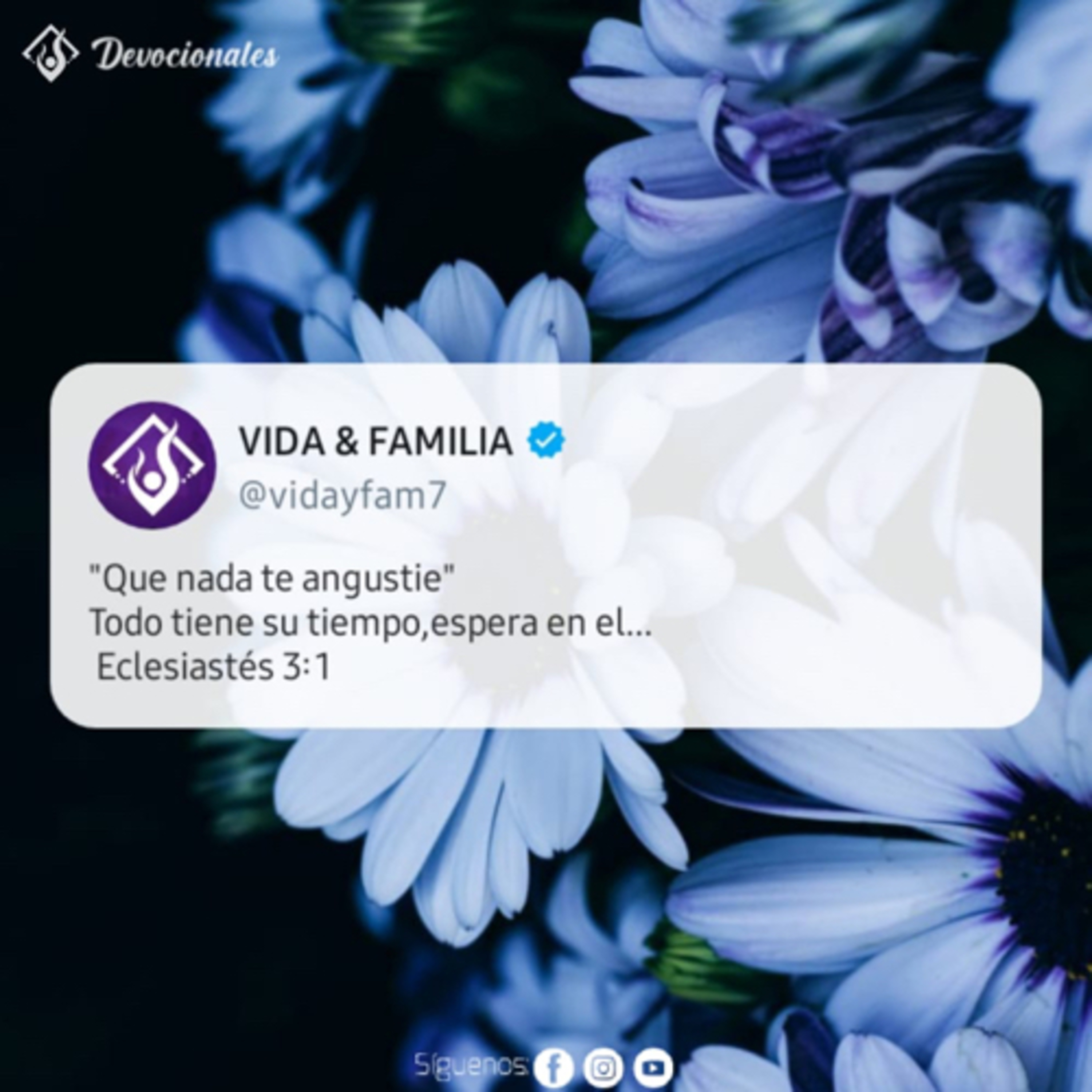 Tiempos en Vida y Familia