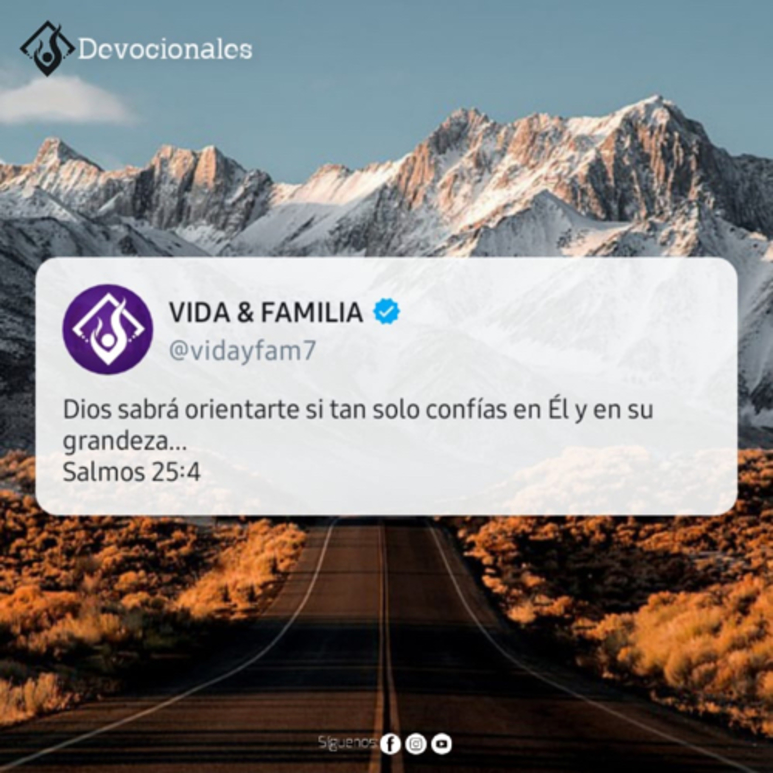 Tiempos en Vida y Familia