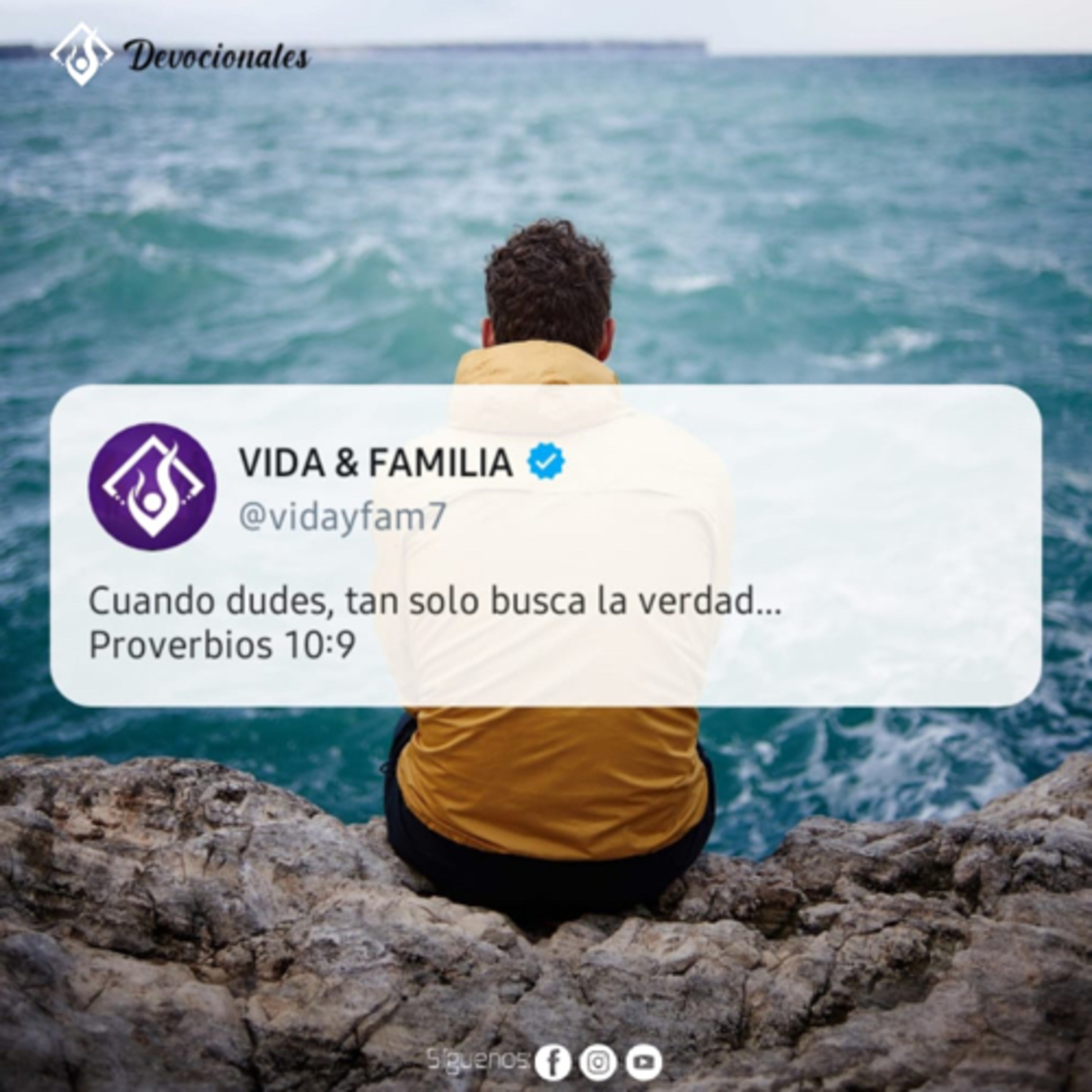 Tiempos en Vida y Familia