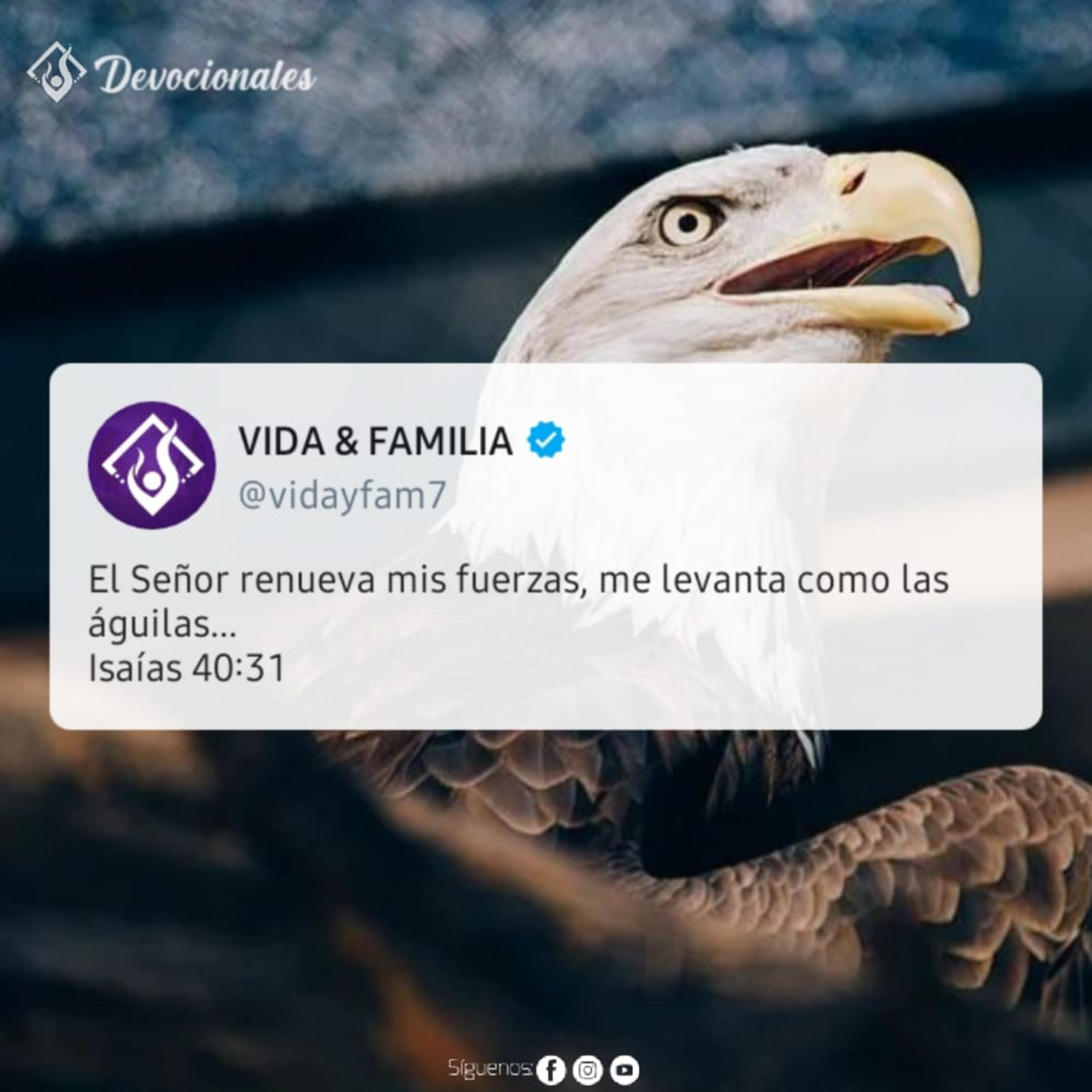 Tiempos en Vida y Familia