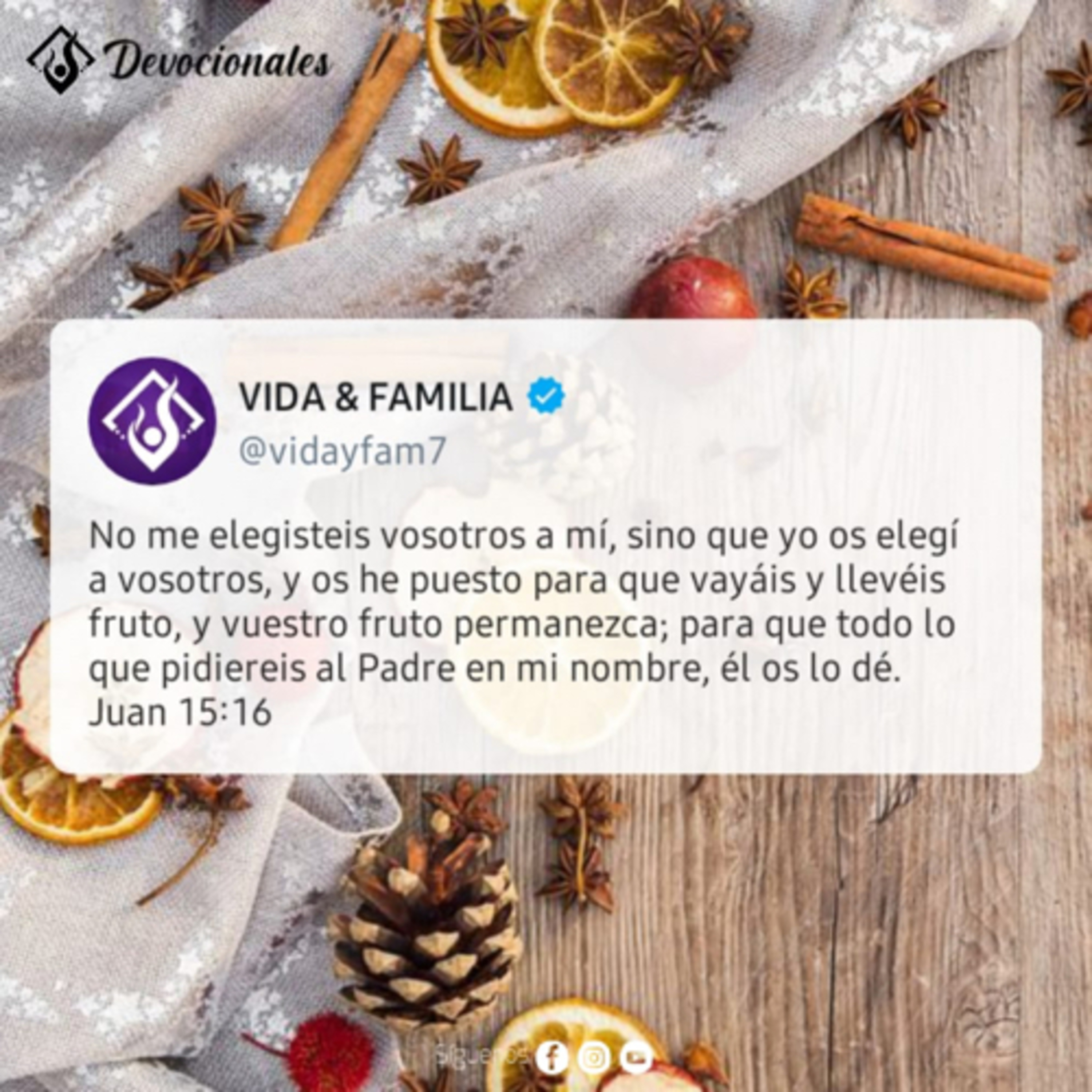 Tiempos en Vida y Familia