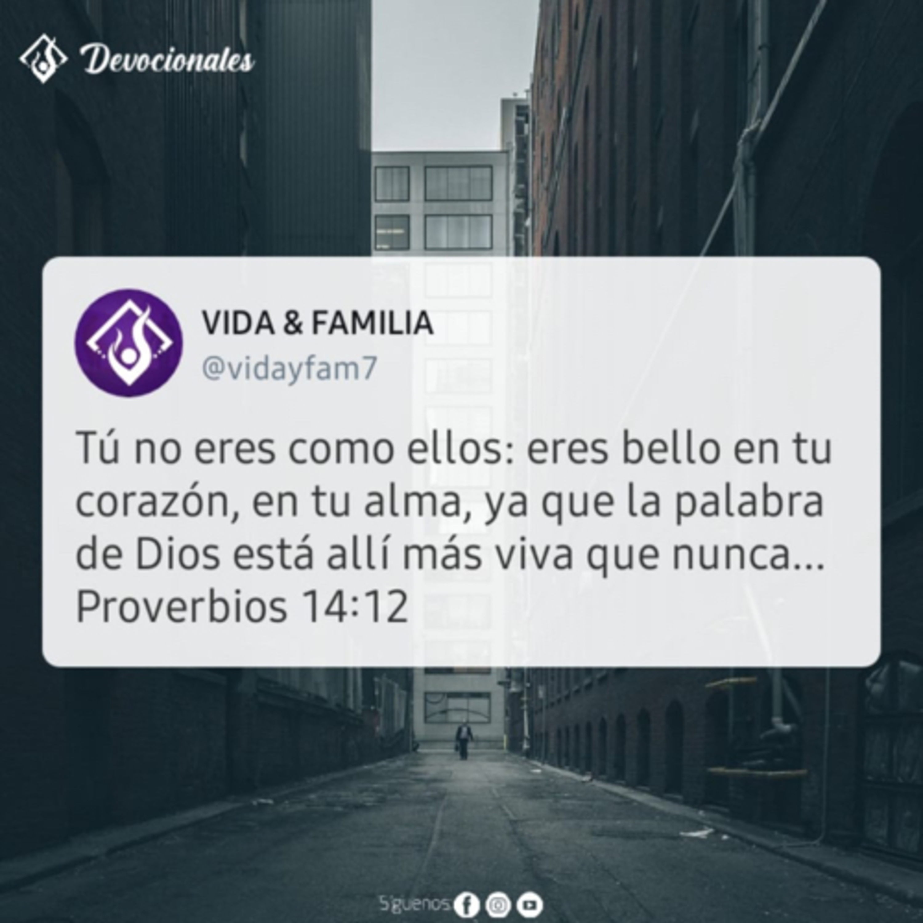 Tiempos en Vida y Familia