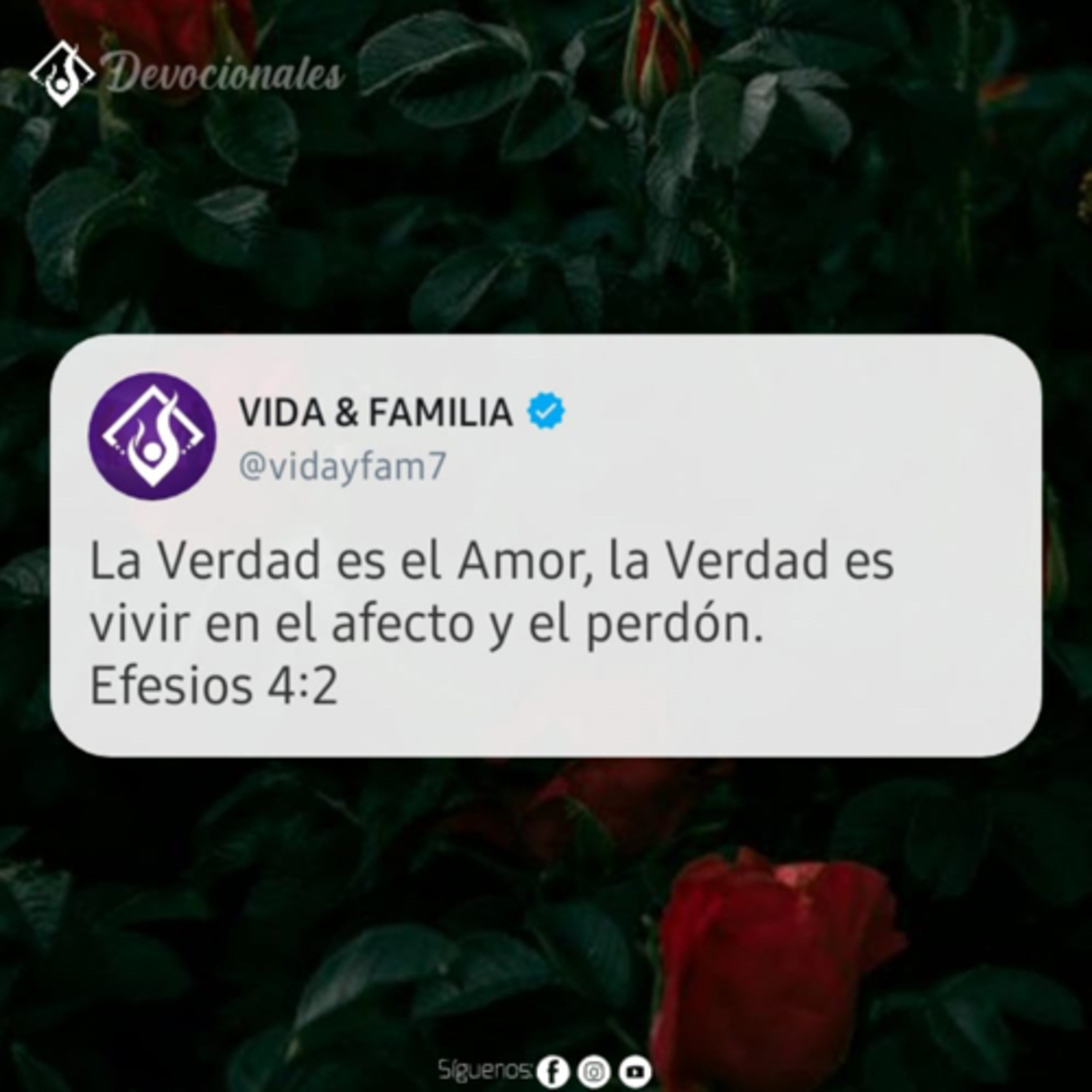 Tiempos en Vida y Familia