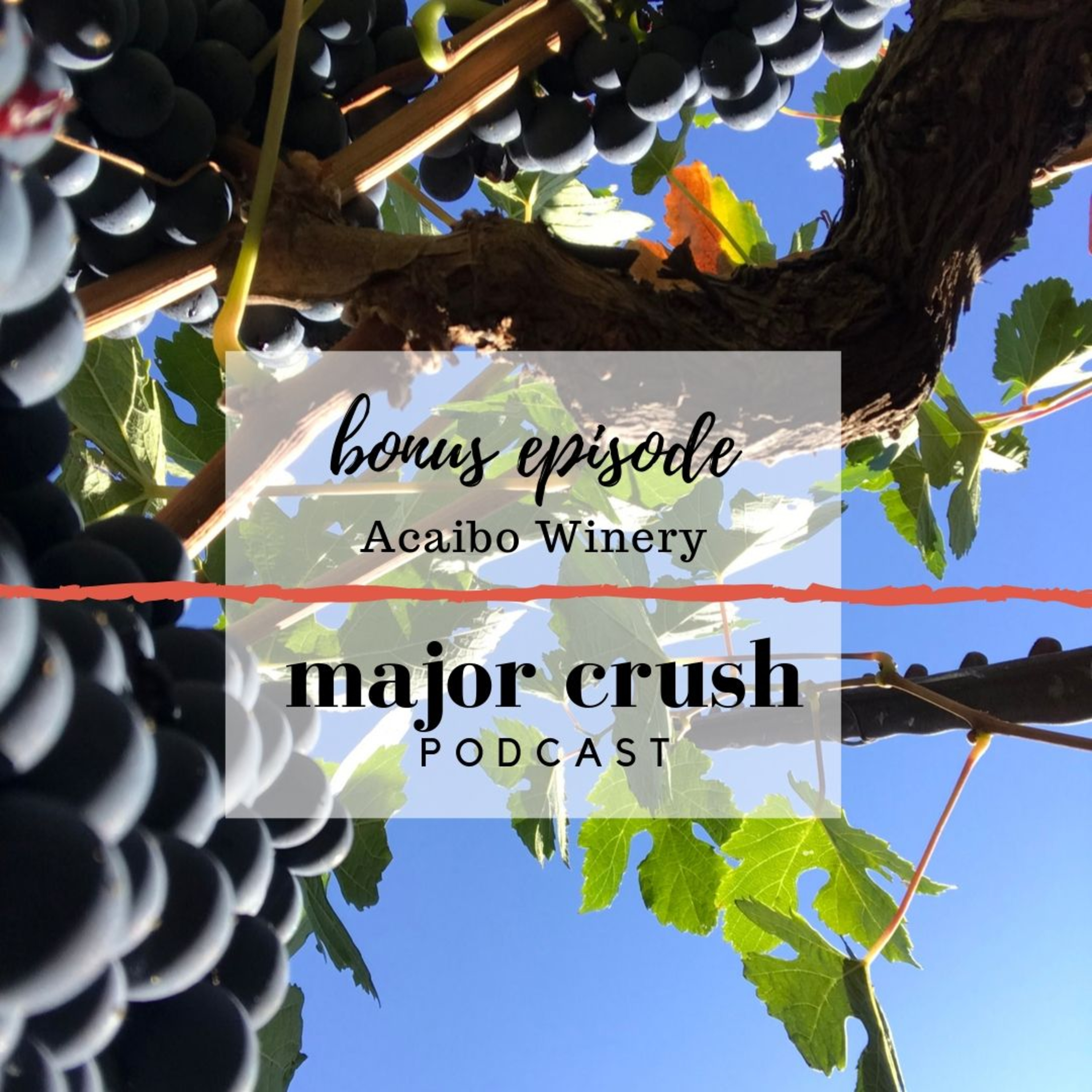 Major Crush Wine Cast