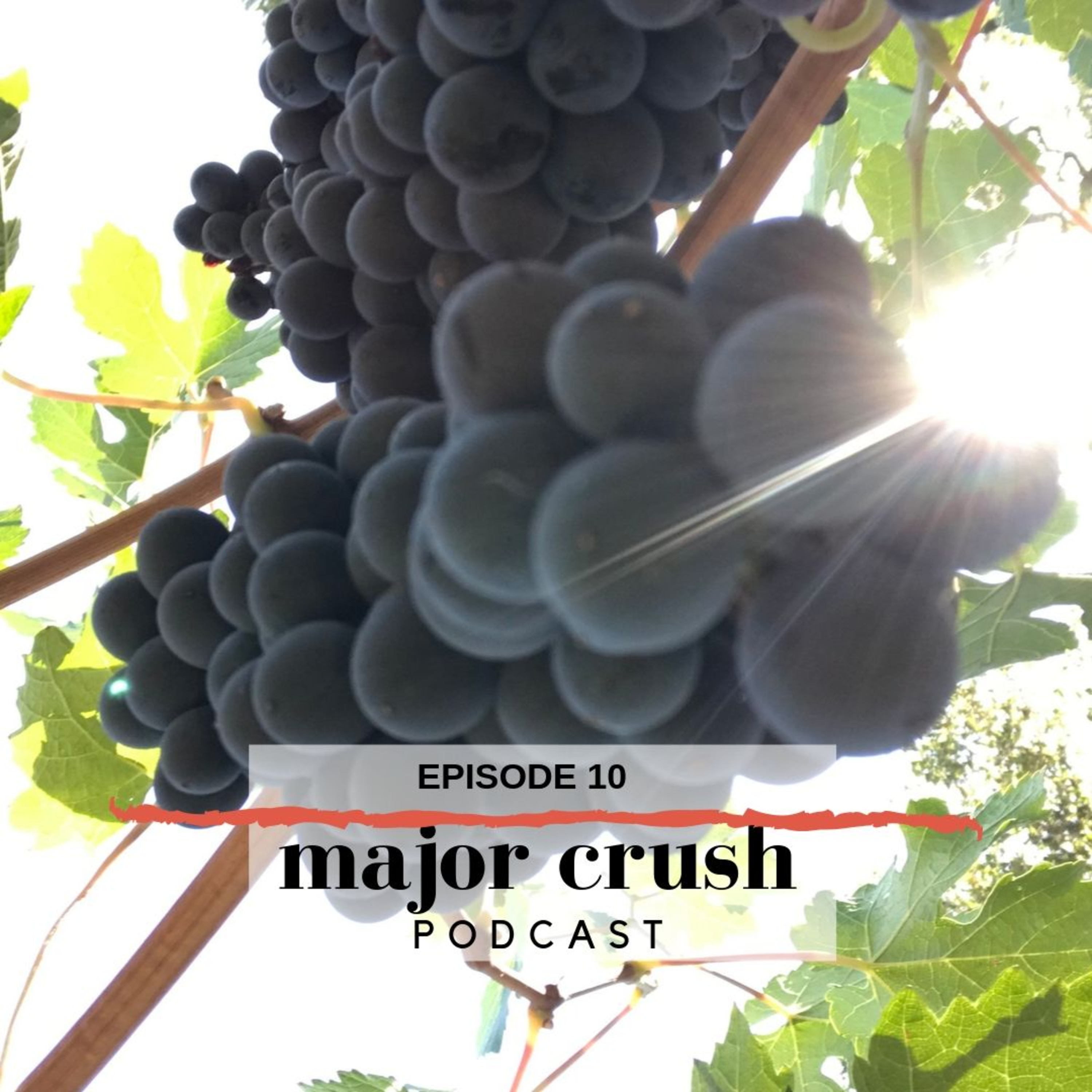 Major Crush Wine Cast