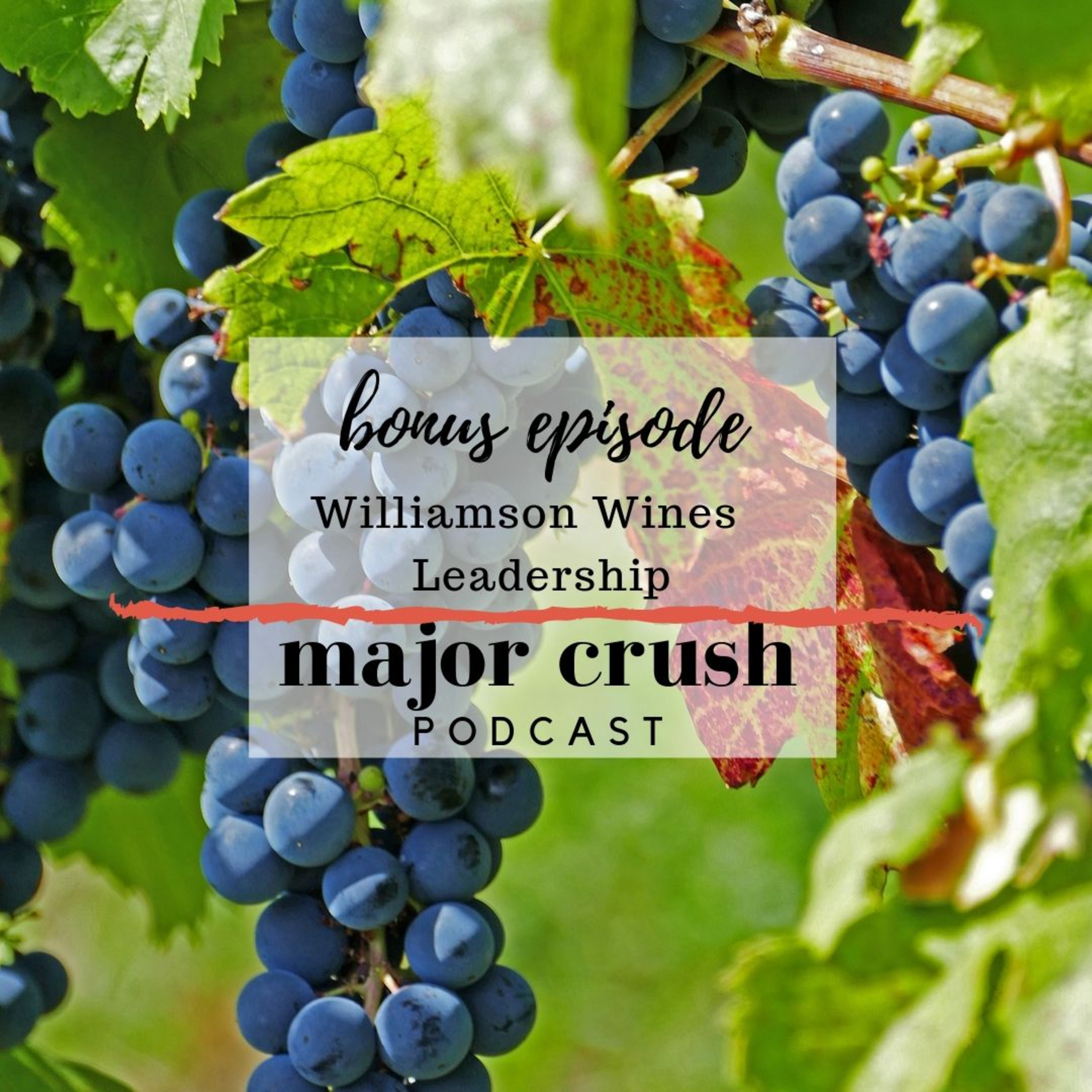 Major Crush Wine Cast