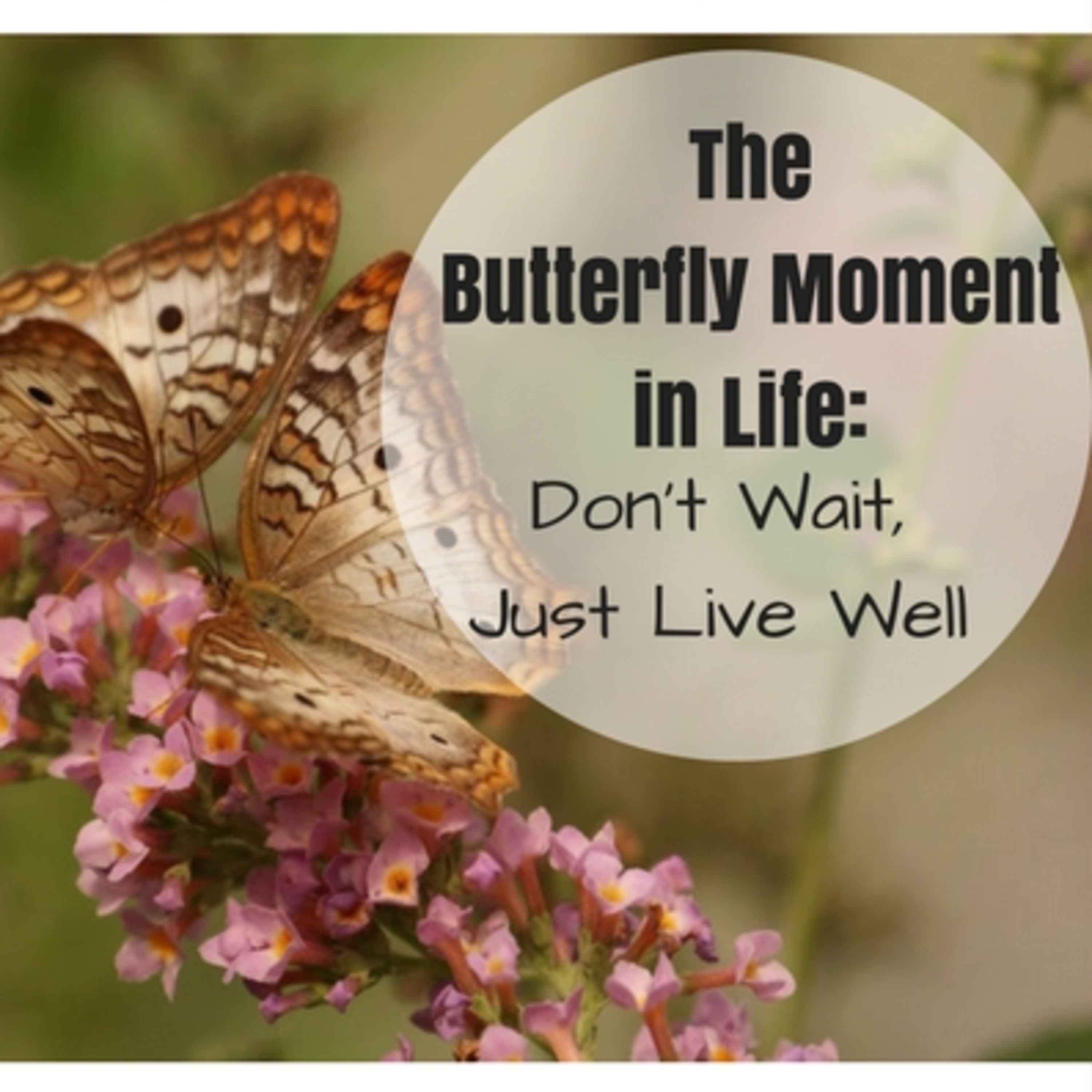 TamilSpaceVisualizer