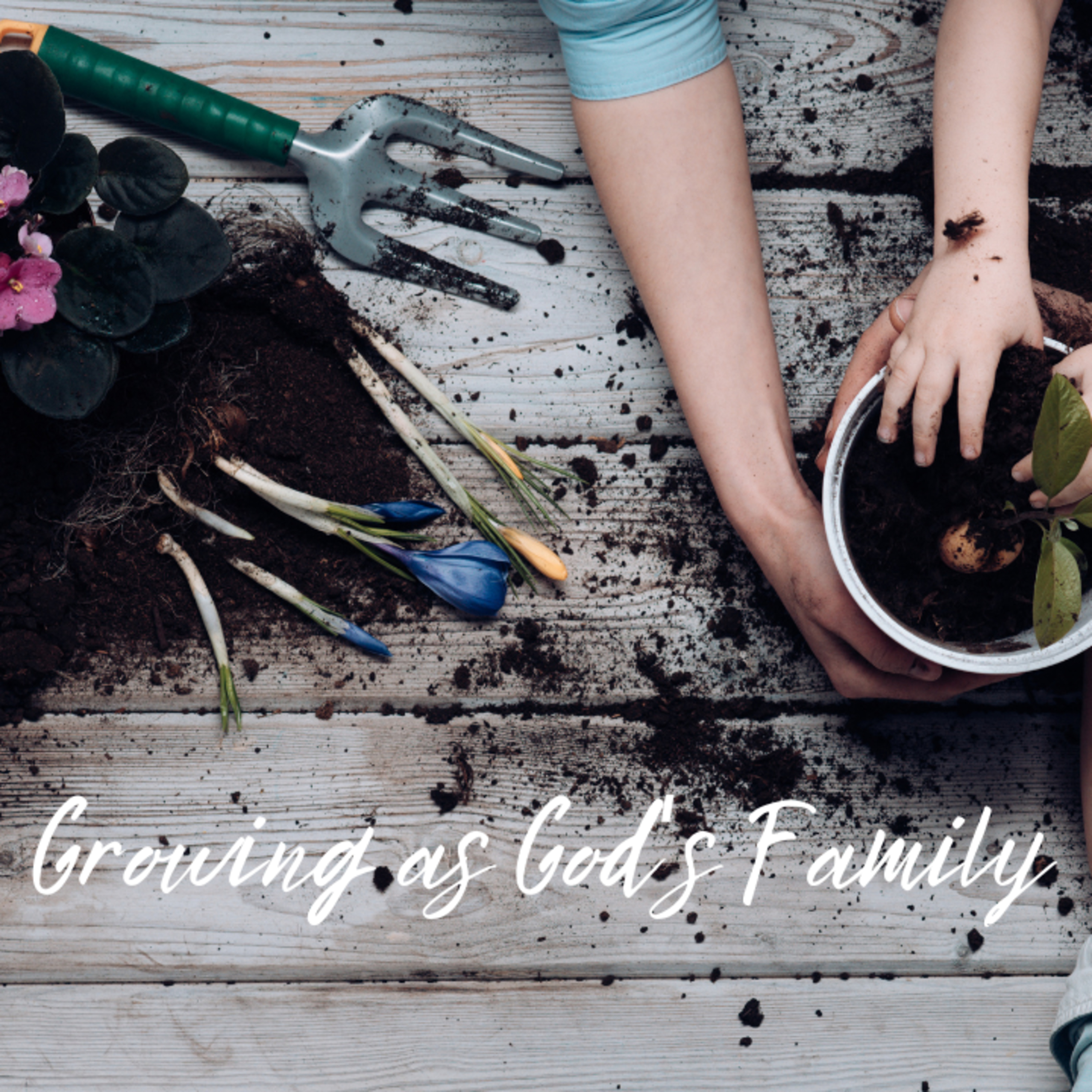Growing as God's Family episode artwork