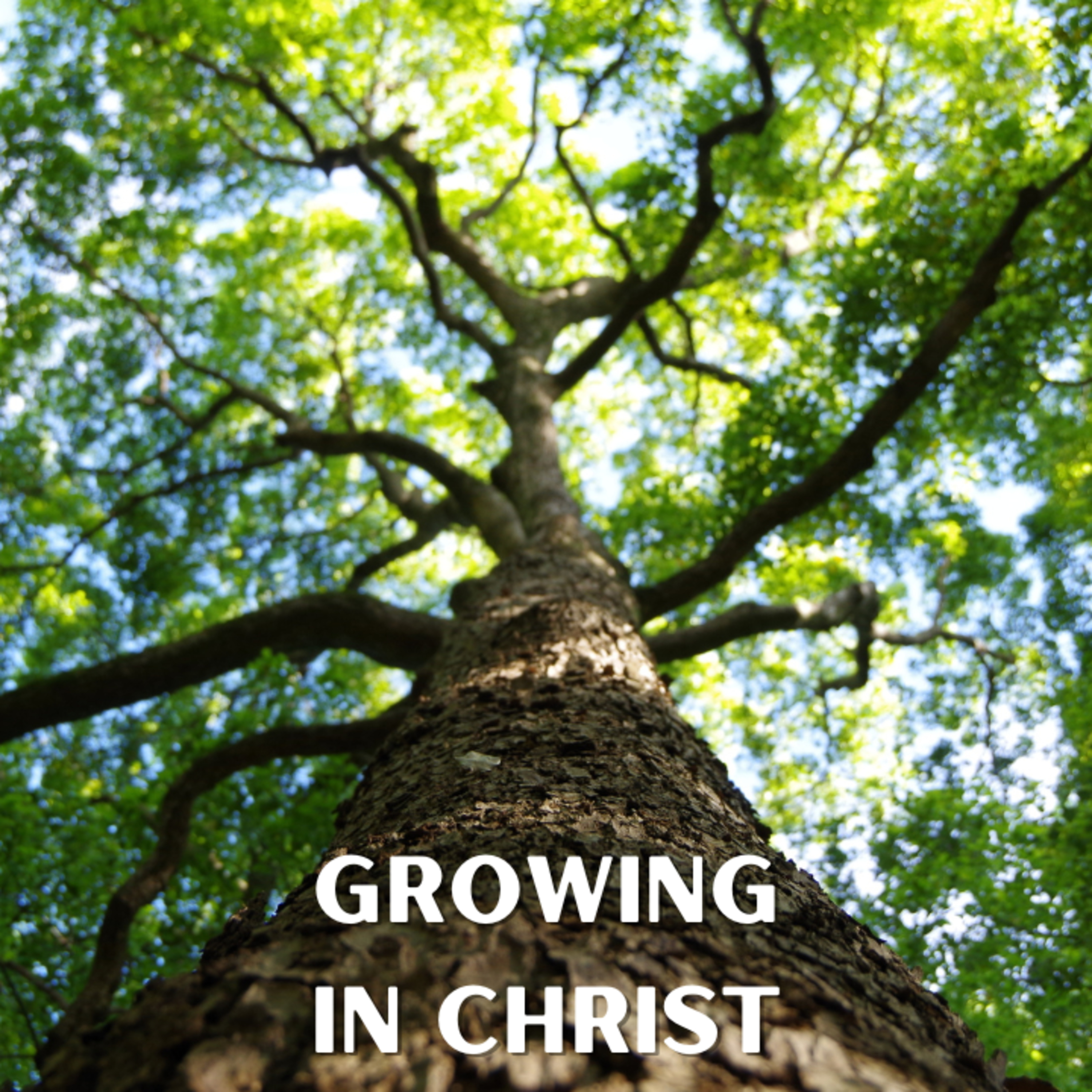 Growing in Christ Through Faith in Him episode artwork