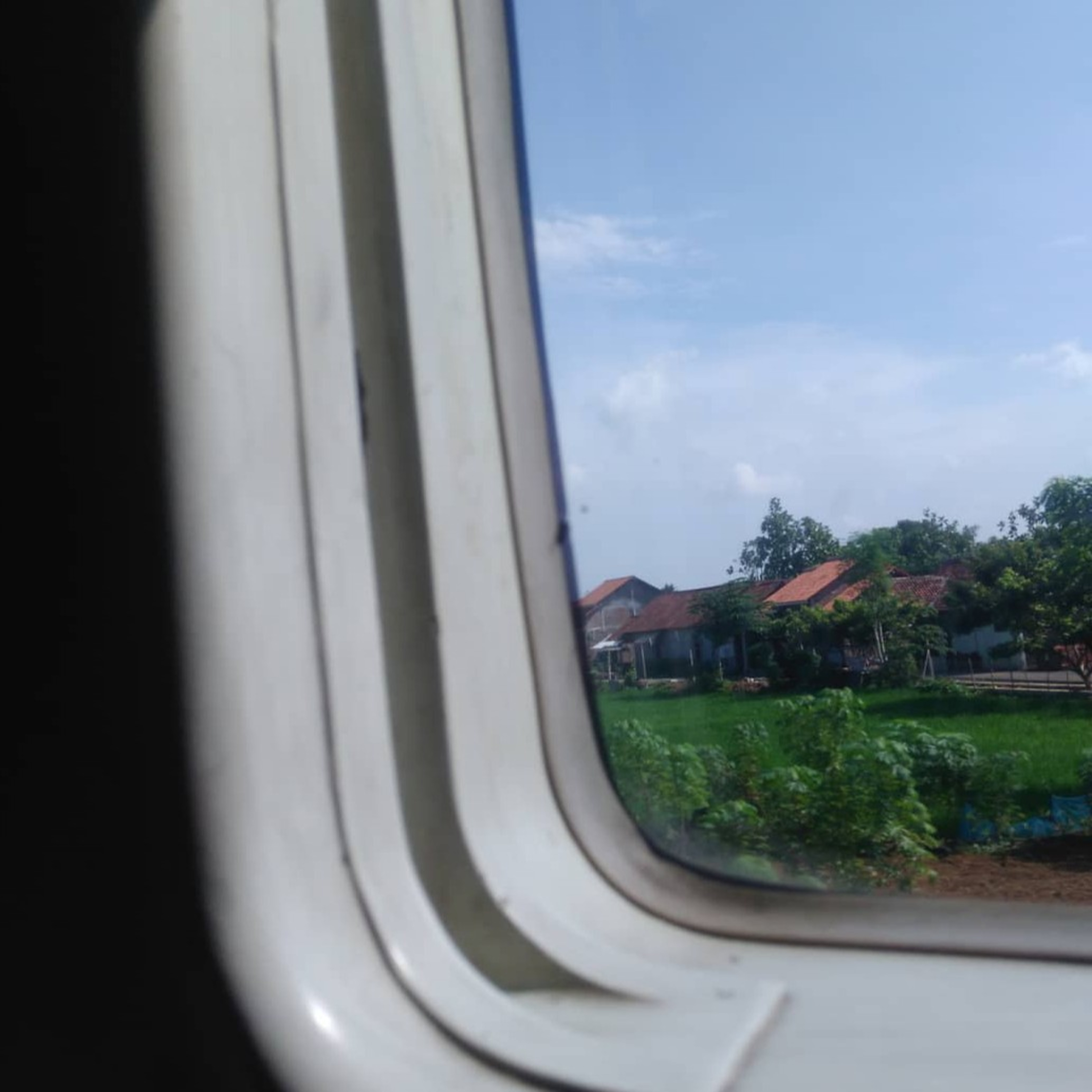 Awandanlaut