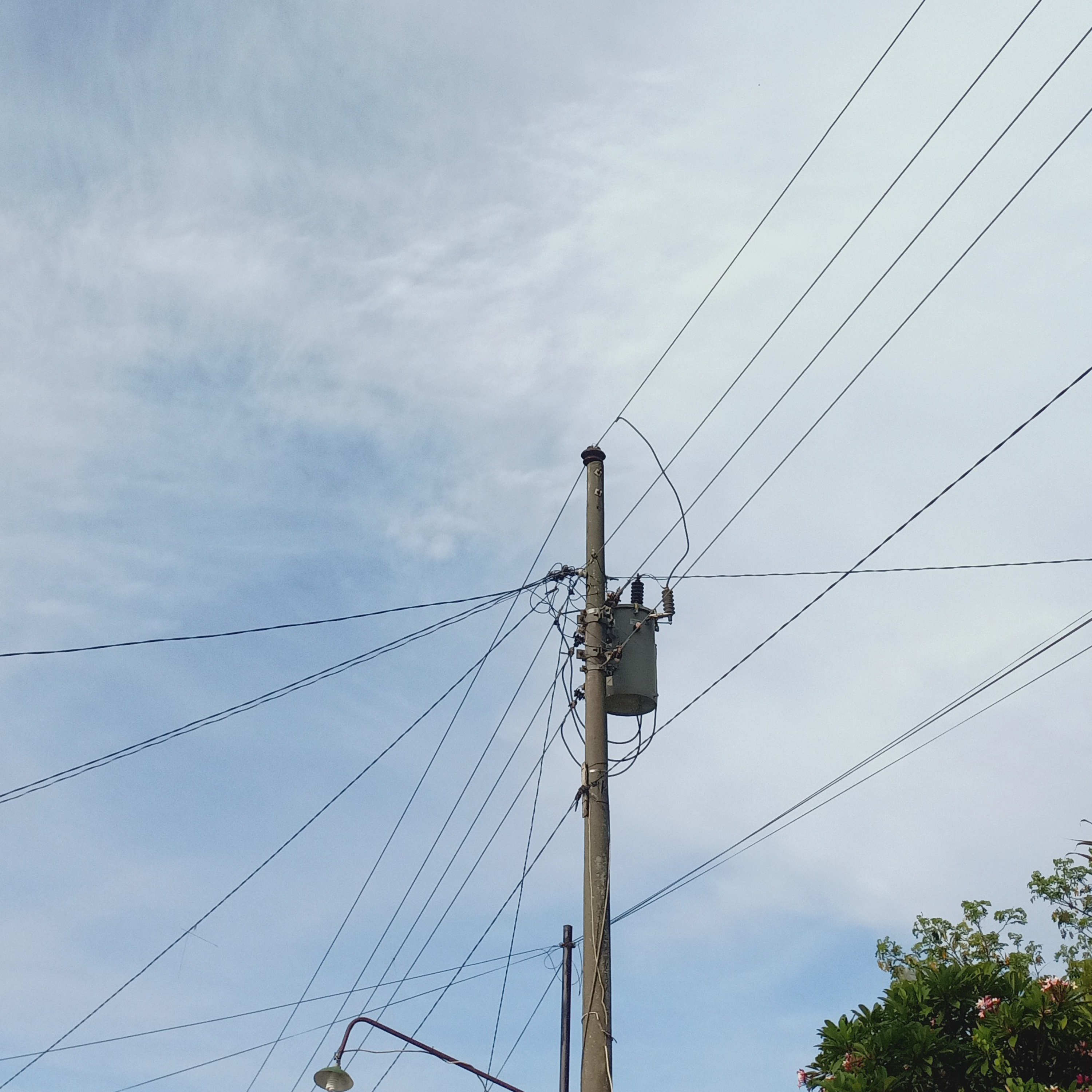 Awandanlaut